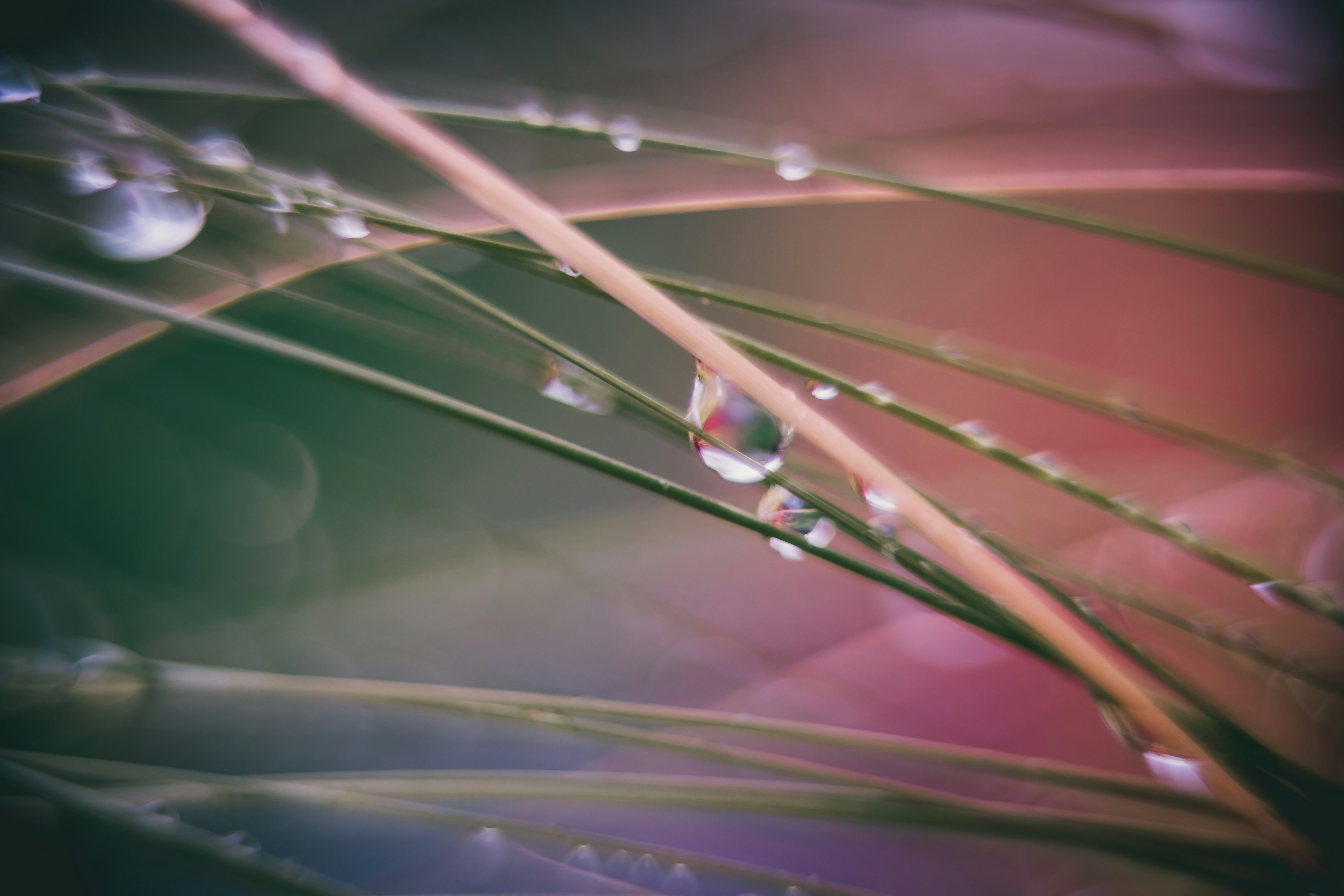 Photo by raimondklavins