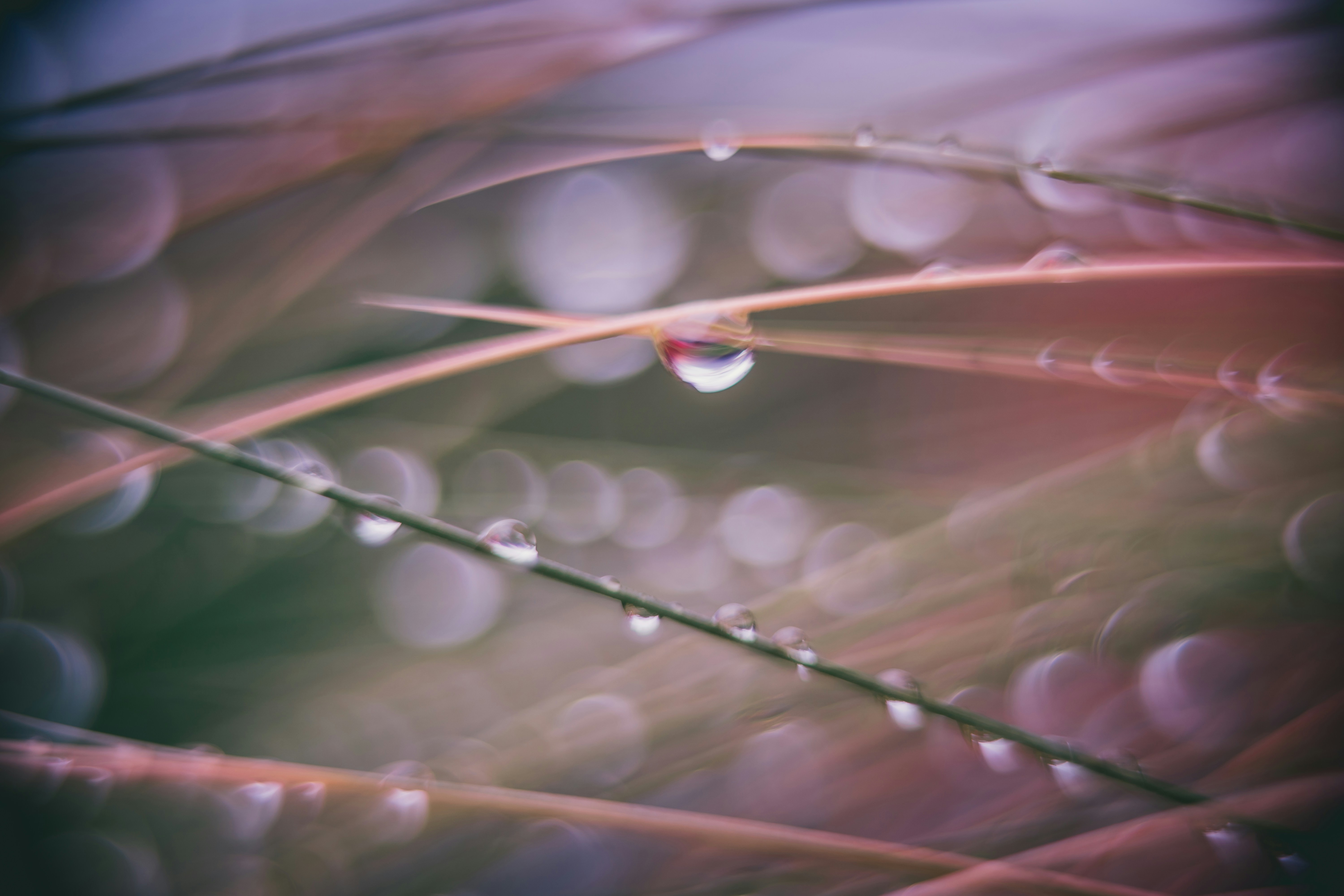 Photo by raimondklavins