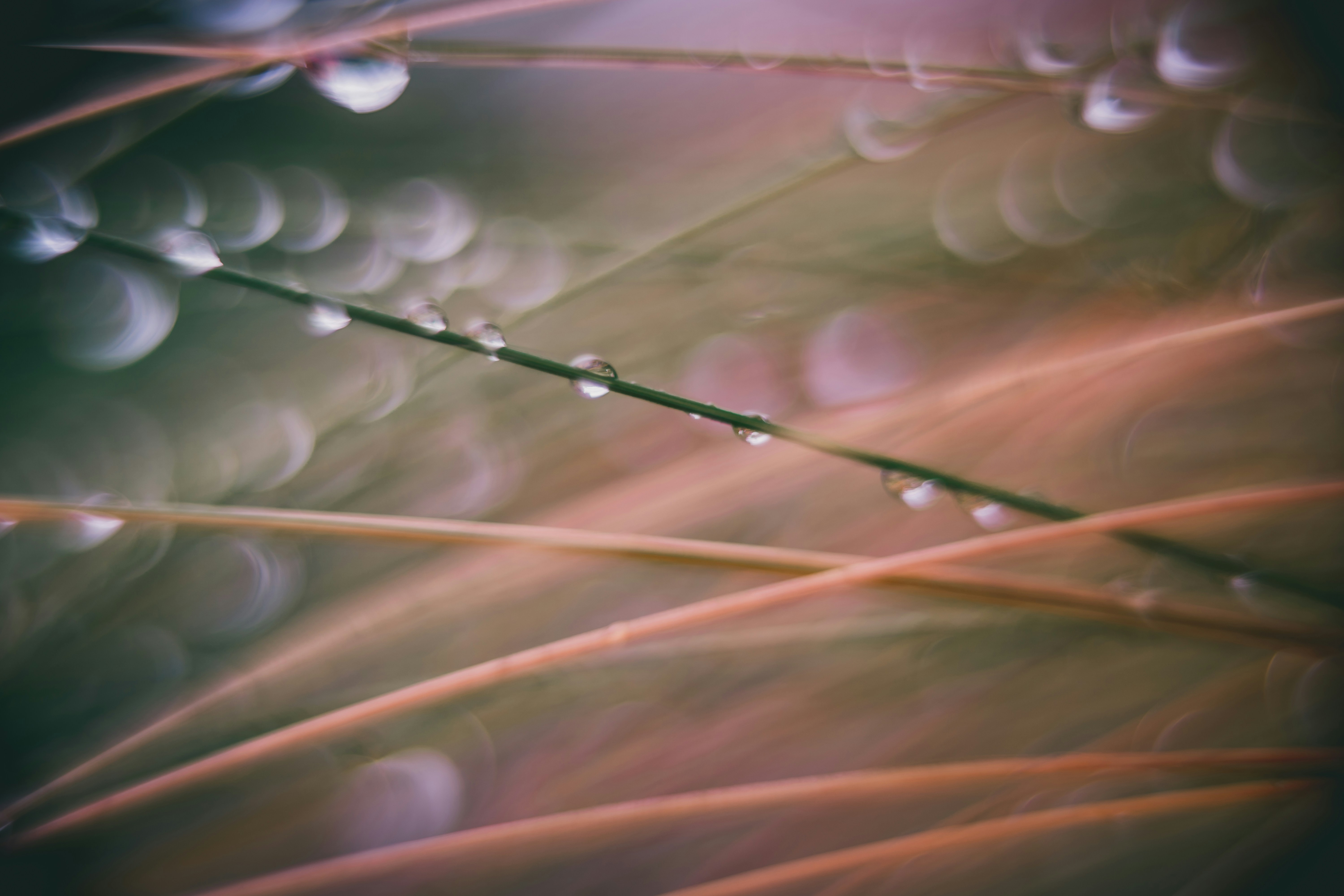 Photo by raimondklavins