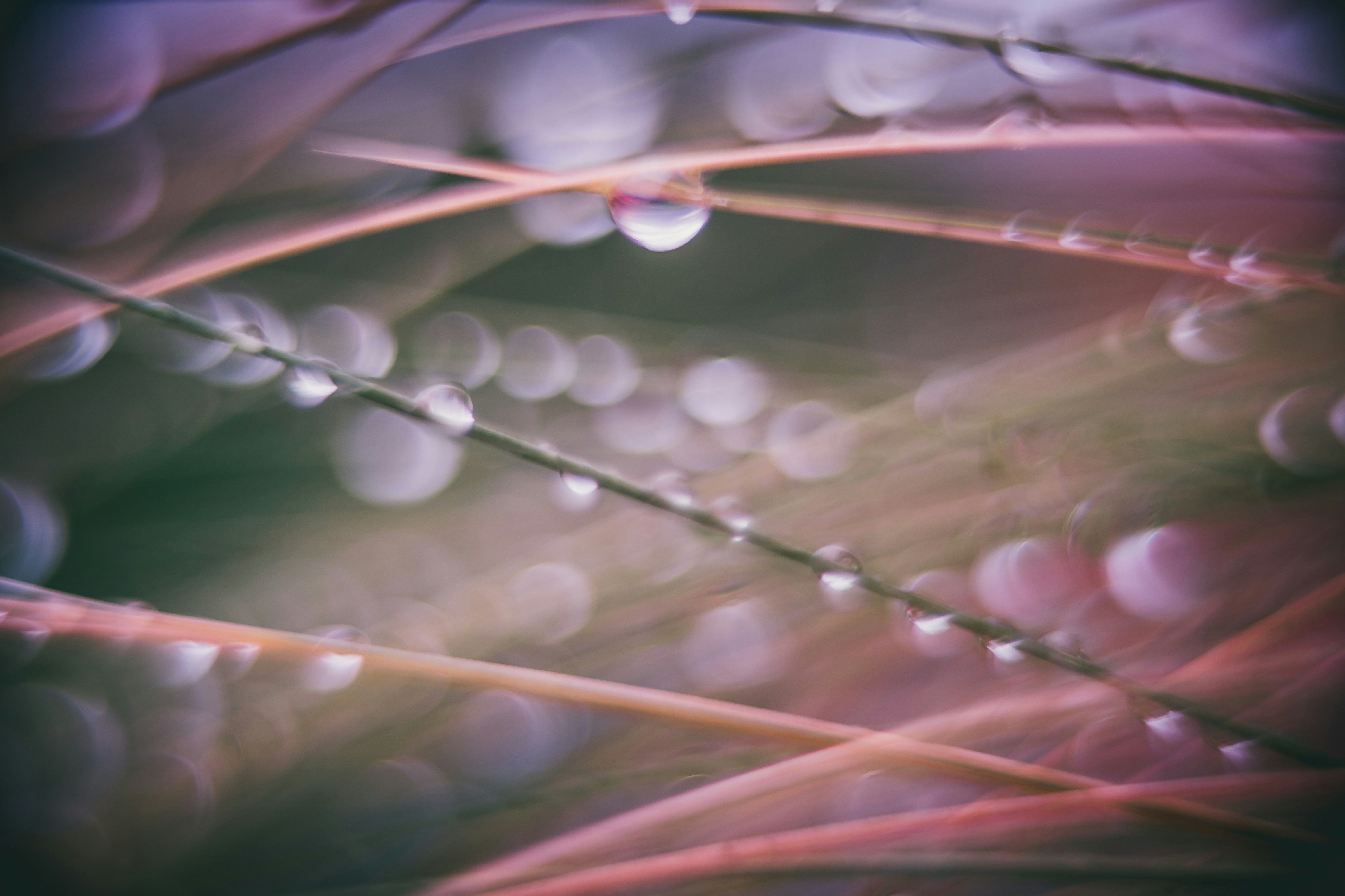 Photo by raimondklavins