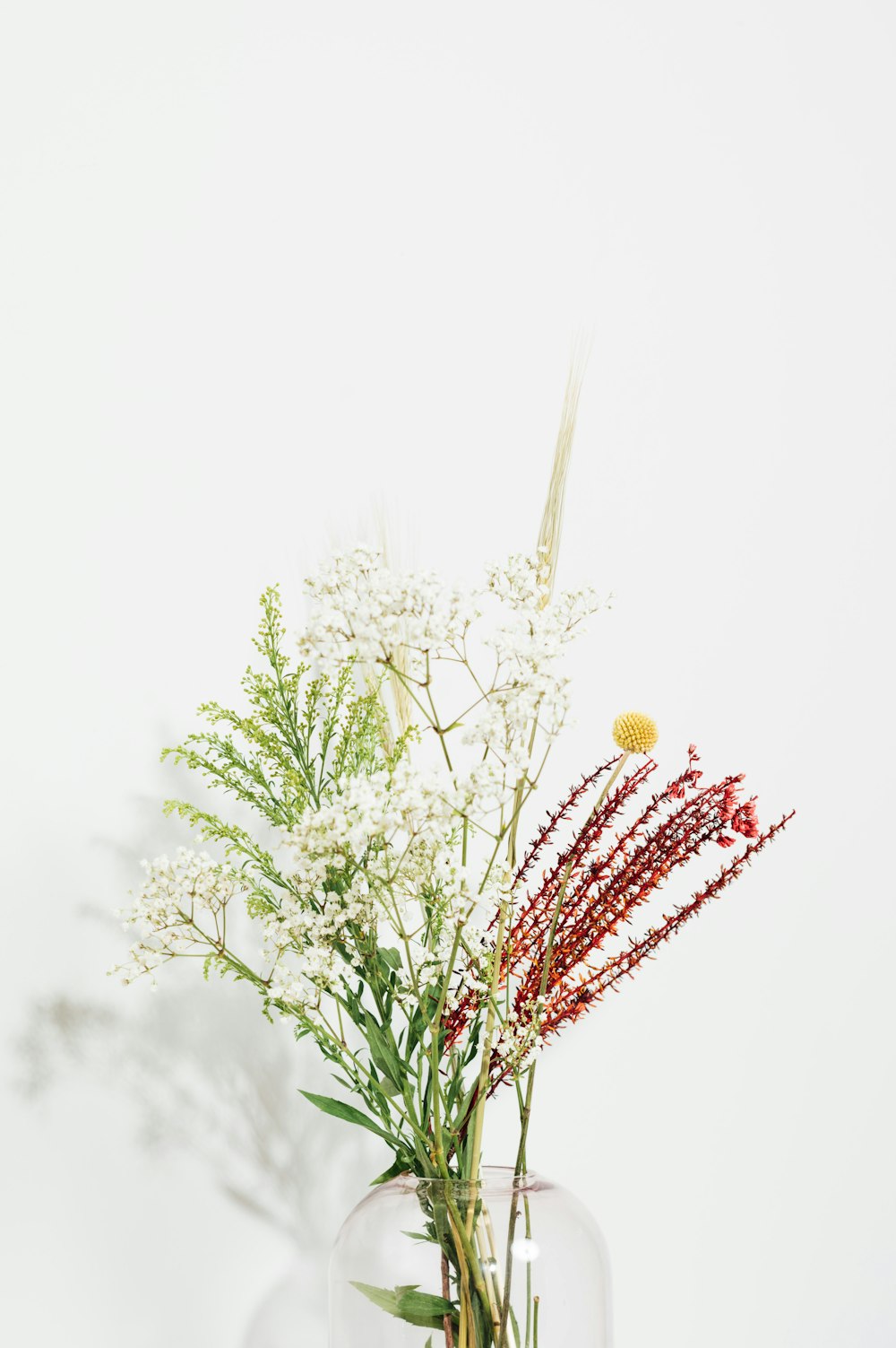 white flowers with green leaves