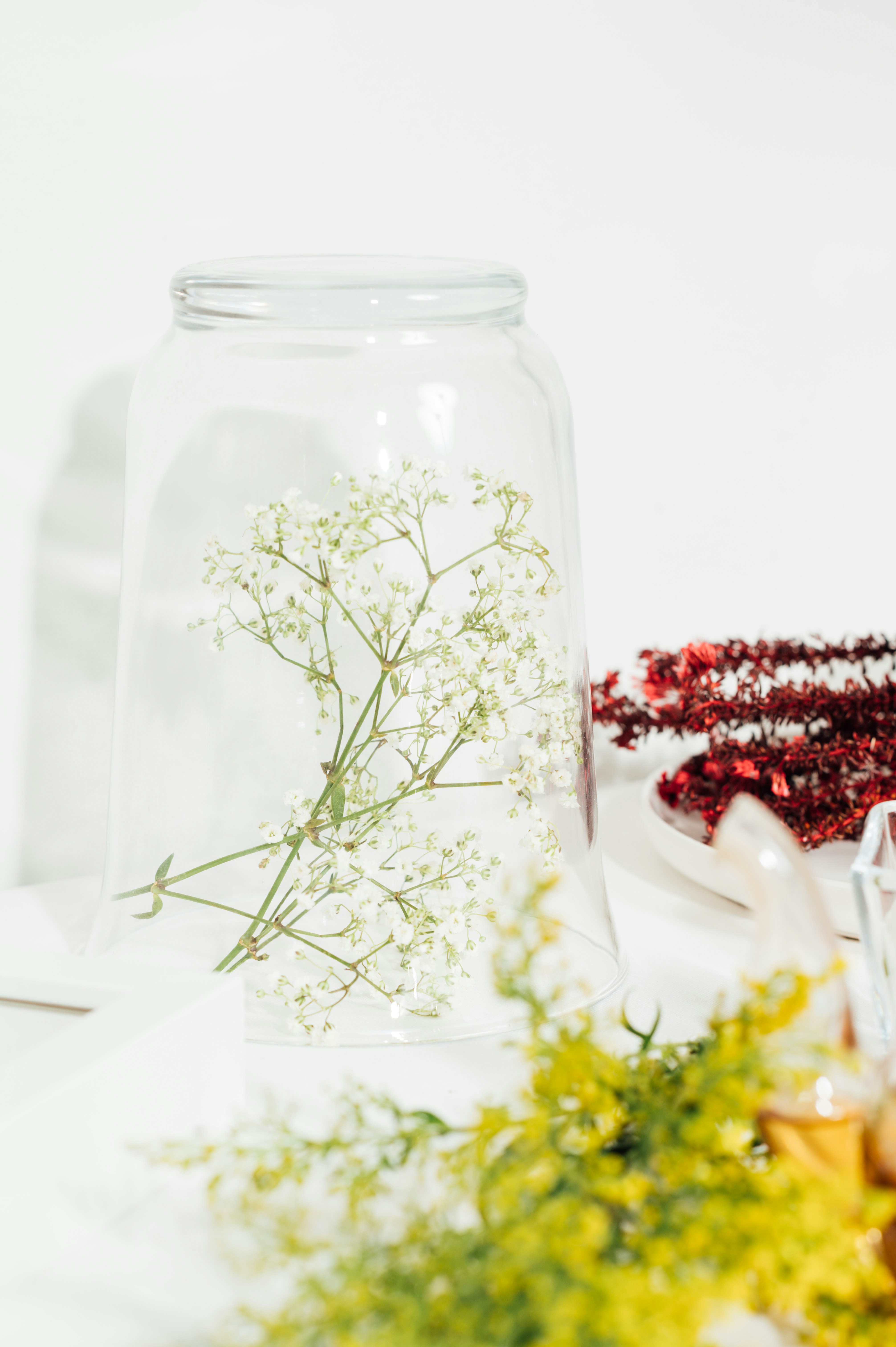 Photo by chuttersnap