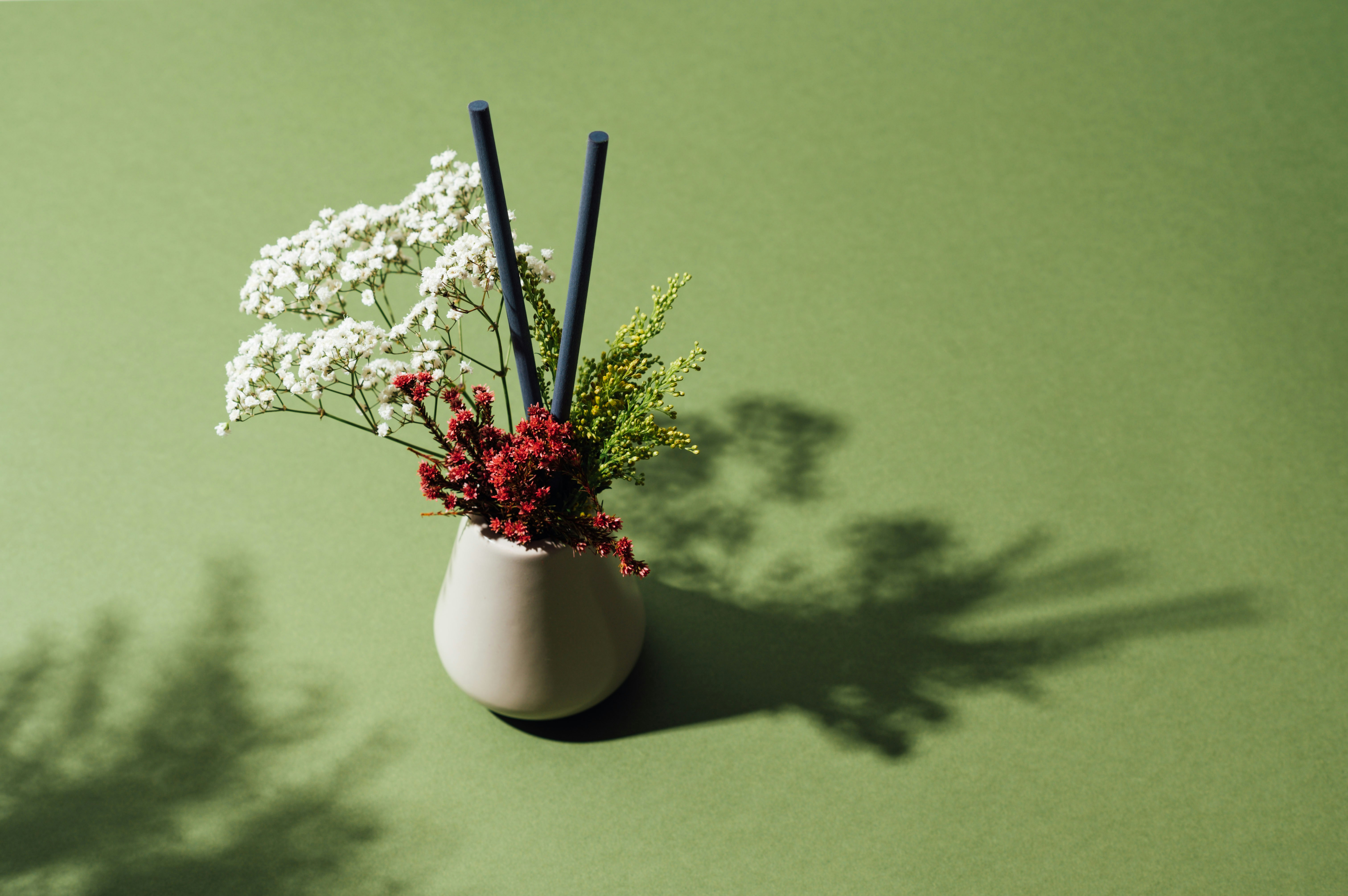 Photo by chuttersnap