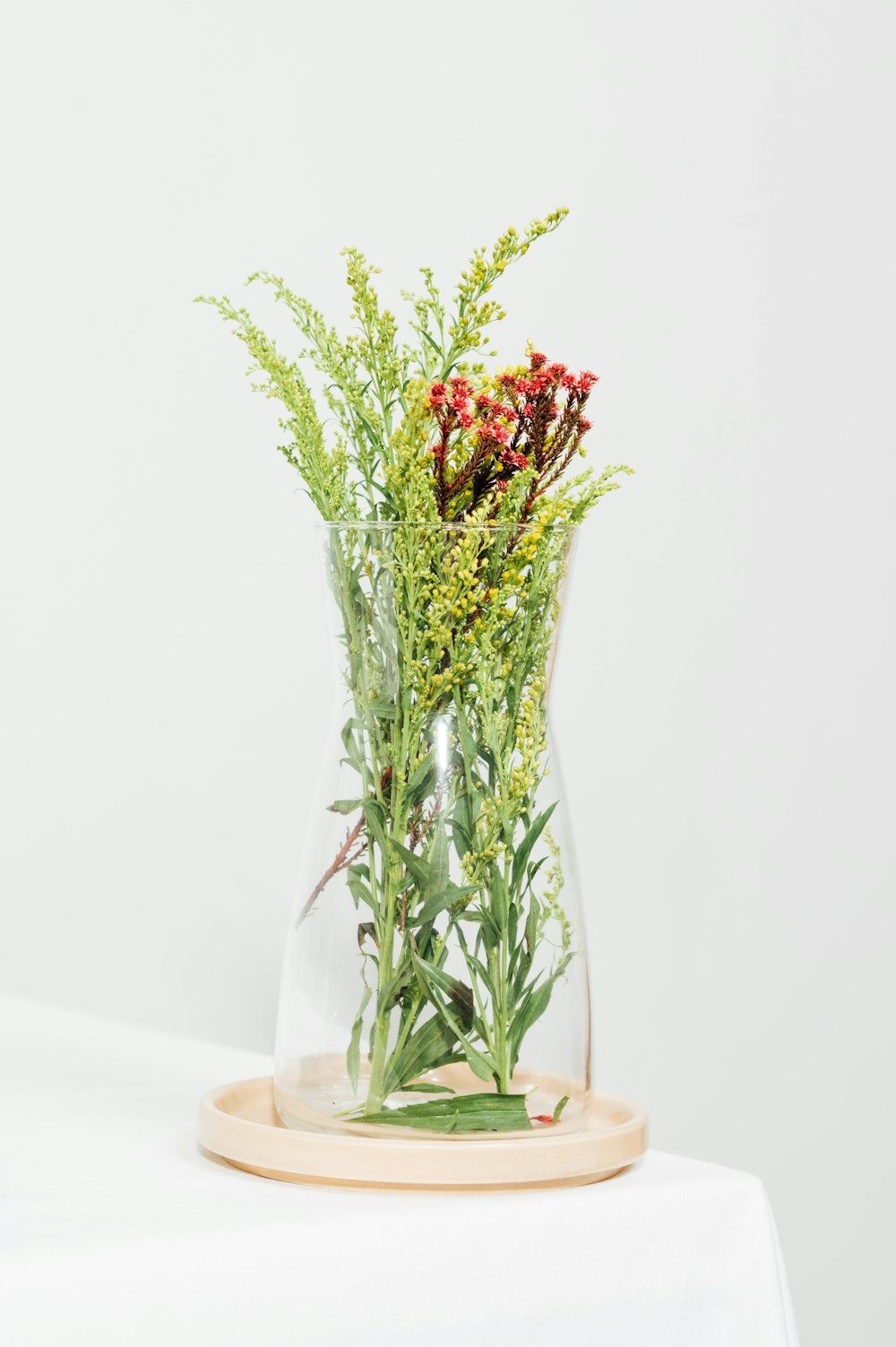 red and white flowers in clear glass vase