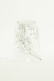 Delicate glass vial resting on a bed of dried flowers.