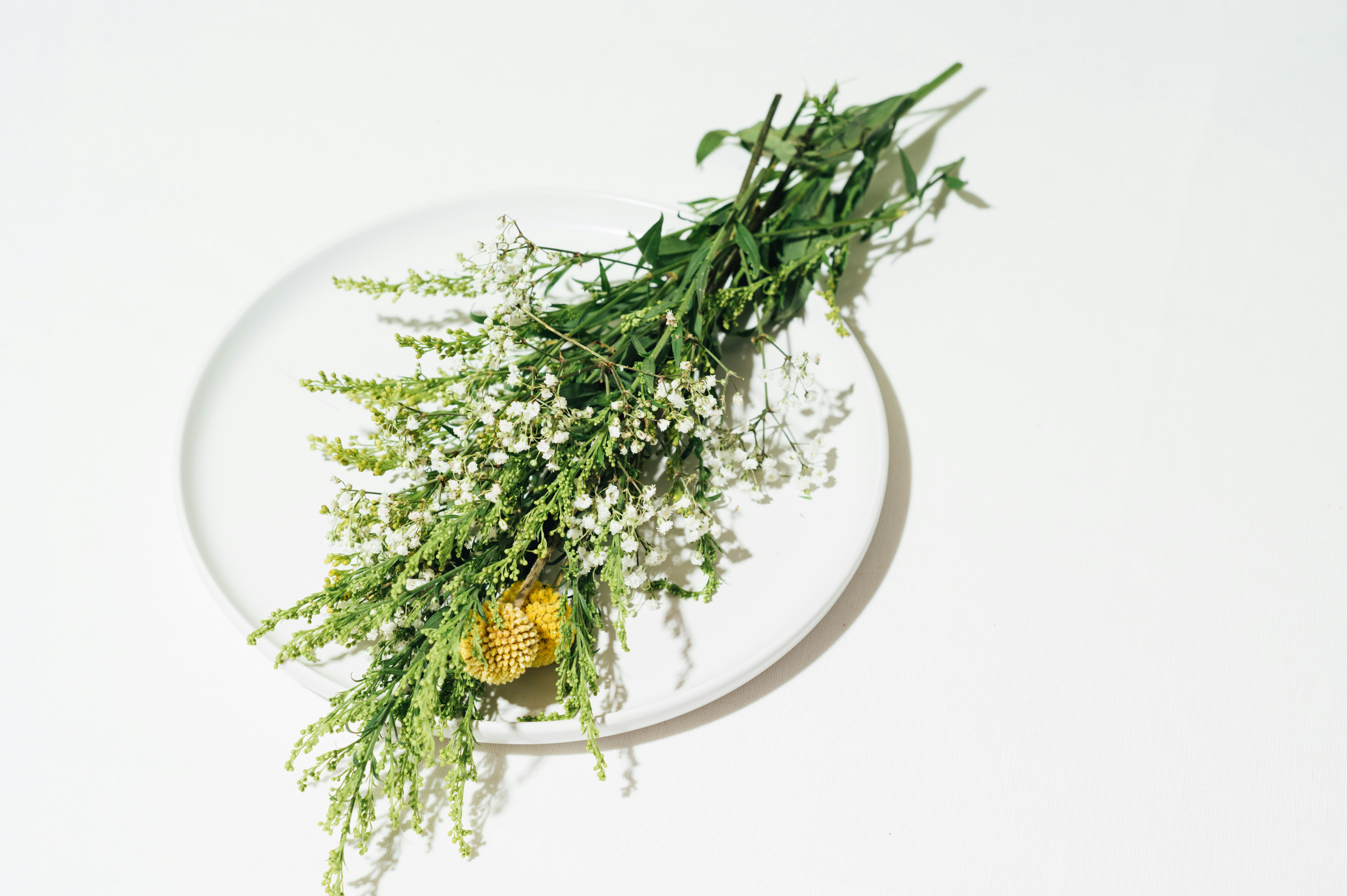 Photo by chuttersnap