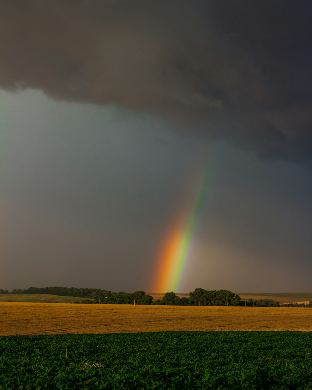 green grass field under rainbow