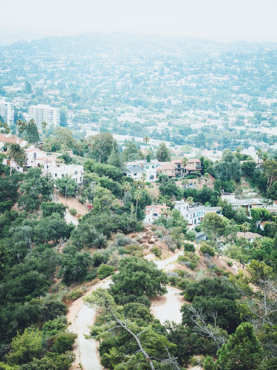 aerial view of green trees and buildings during daytime