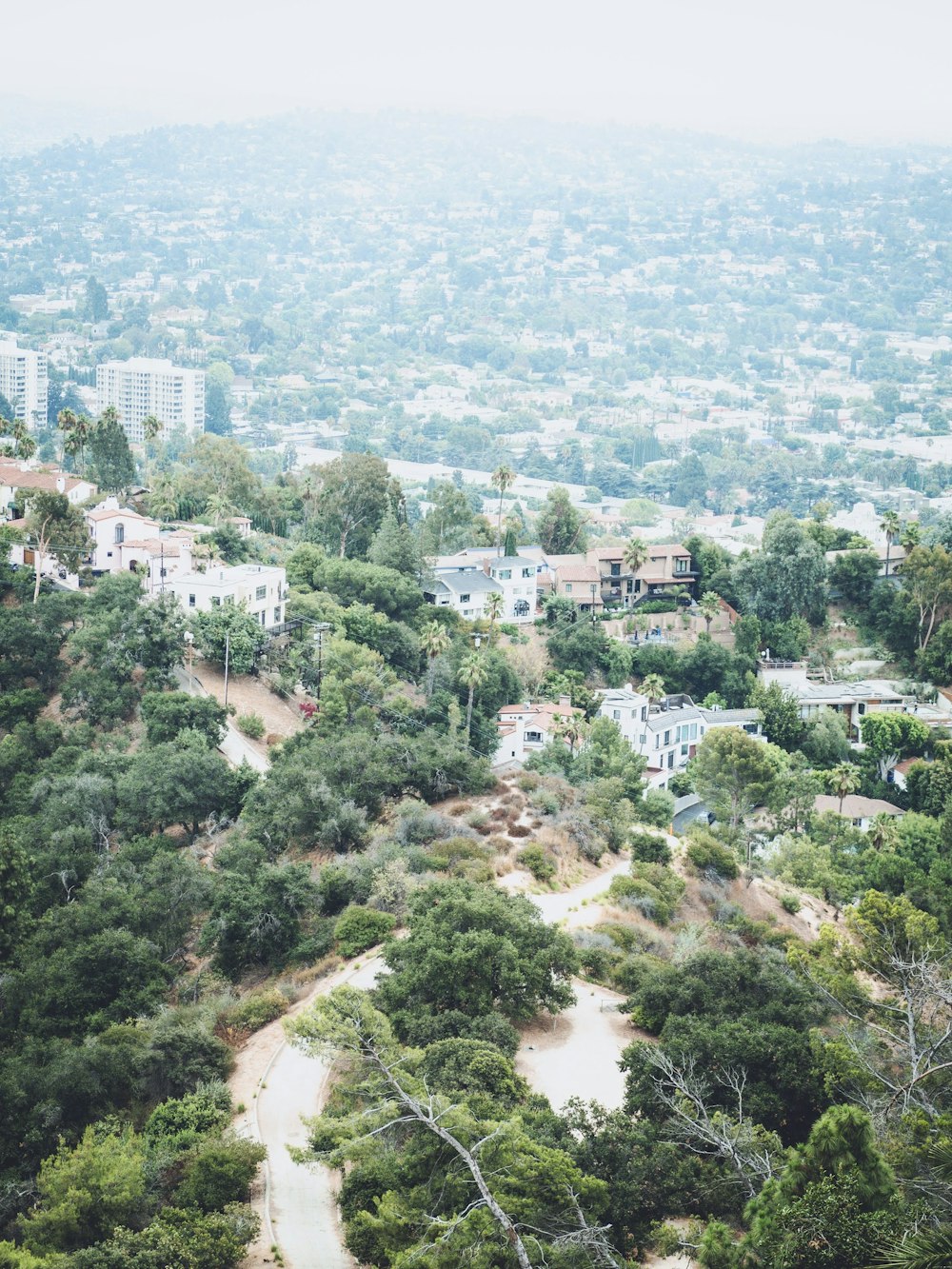 aerial view of green trees and buildings during daytime