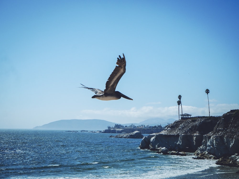 birds flying over the sea during daytime