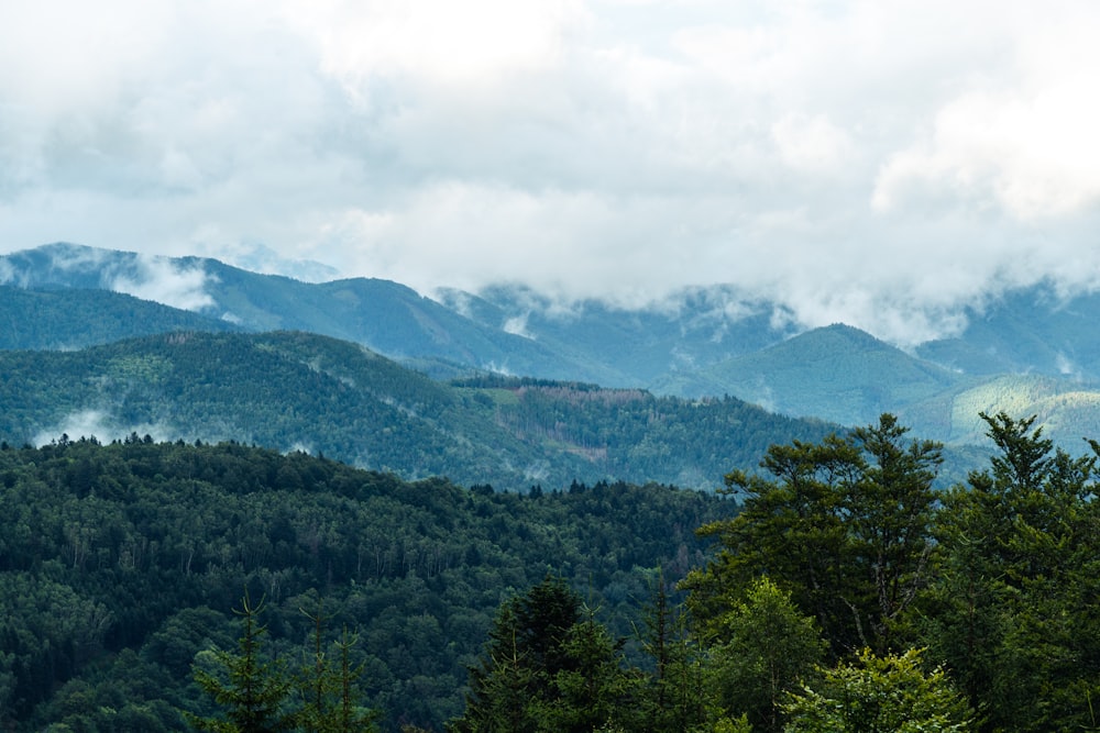 green trees on mountain under white clouds during daytime