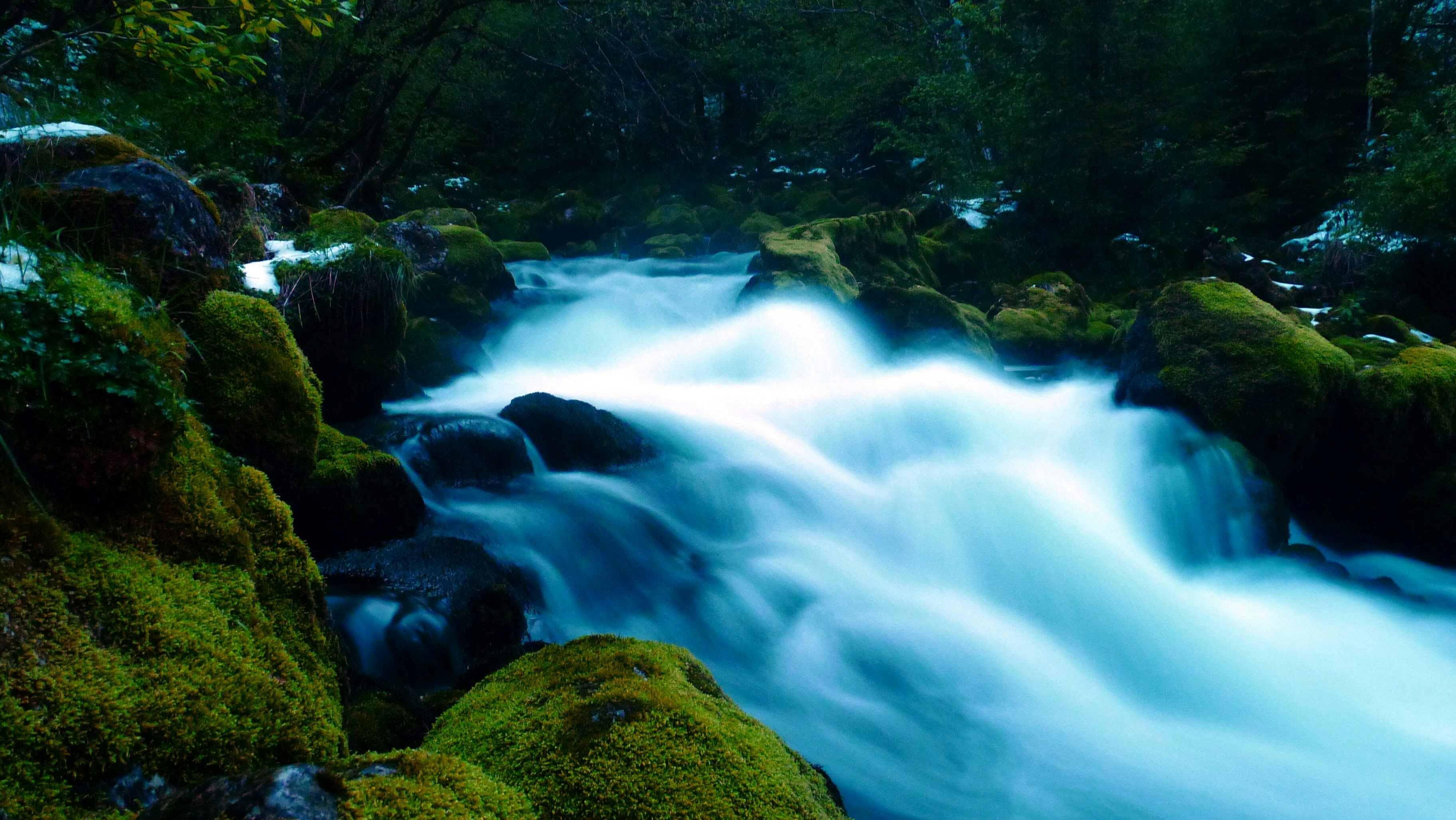 green moss on brown rock near river