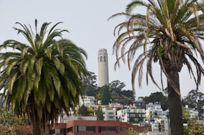 Aerial view of One Park Tower surrounded by lush greenery and Miami’s vibrant cityscape.