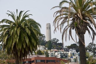 Aerial view of One Park Tower surrounded by lush greenery and Miami’s vibrant cityscape.