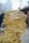 A sculpture composed of yellow metal wires intricately woven to form a human head. The wires create a hollow structure with a mesh-like appearance, set against an urban backdrop with buildings and blurry skies. The design exhibits a blend of abstract art and human form.