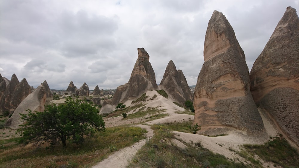 brown rock formation near green trees during daytime