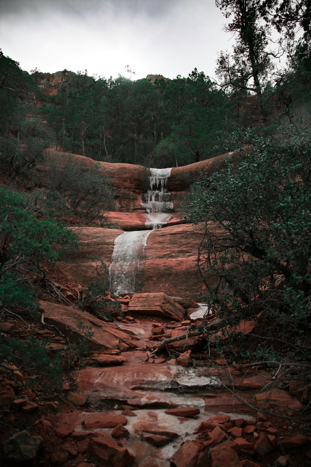 brown rock formation near green trees during daytime