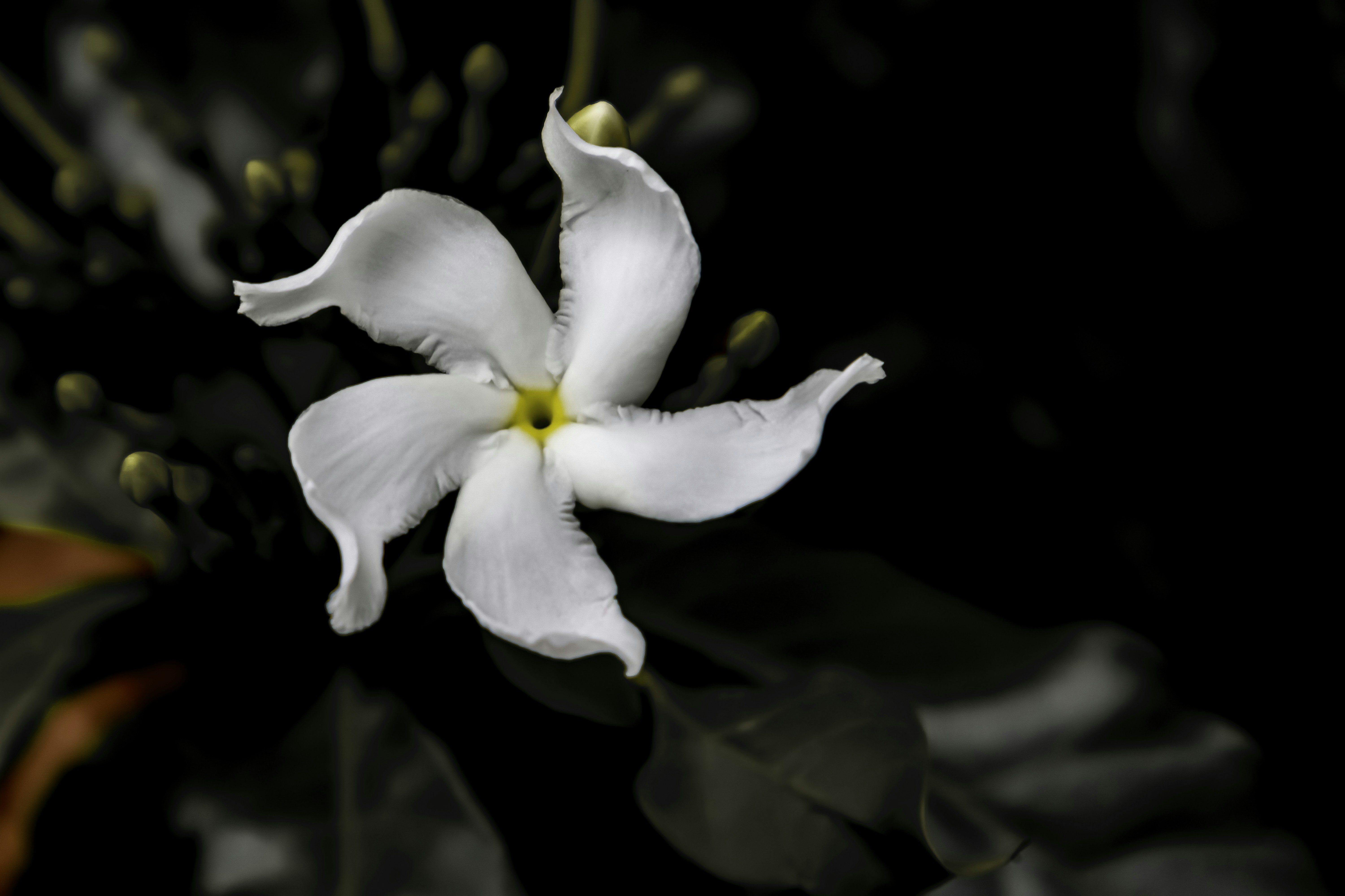 Photo by venthan05_photohouse