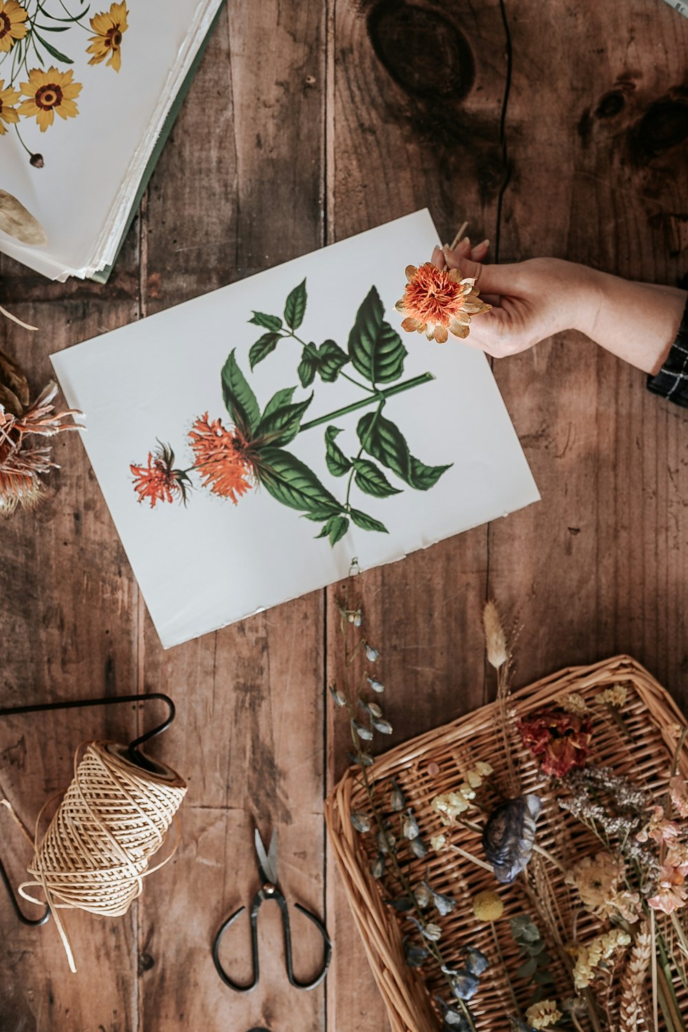 person holding white and green floral card