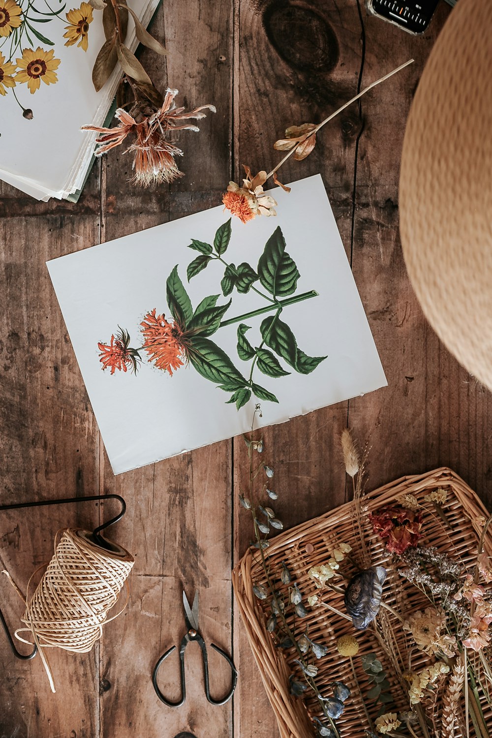 green leaves on white printer paper