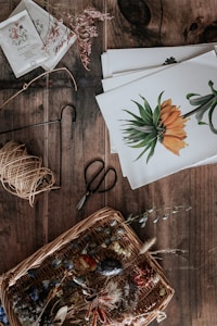 Wildflower Seeds