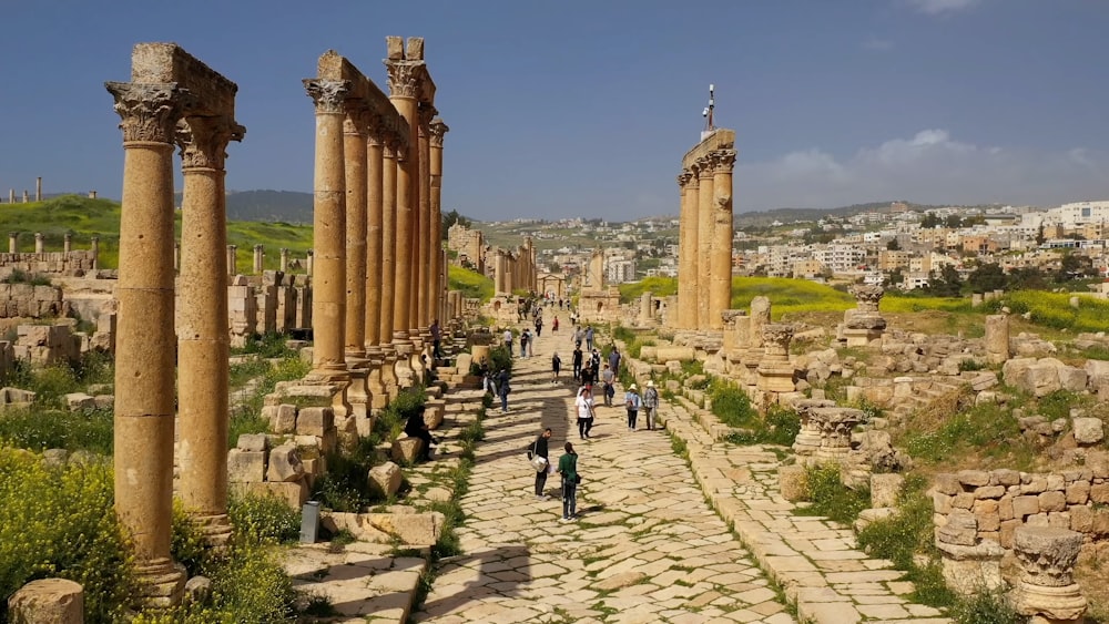 people walking on brown concrete pathway during daytime