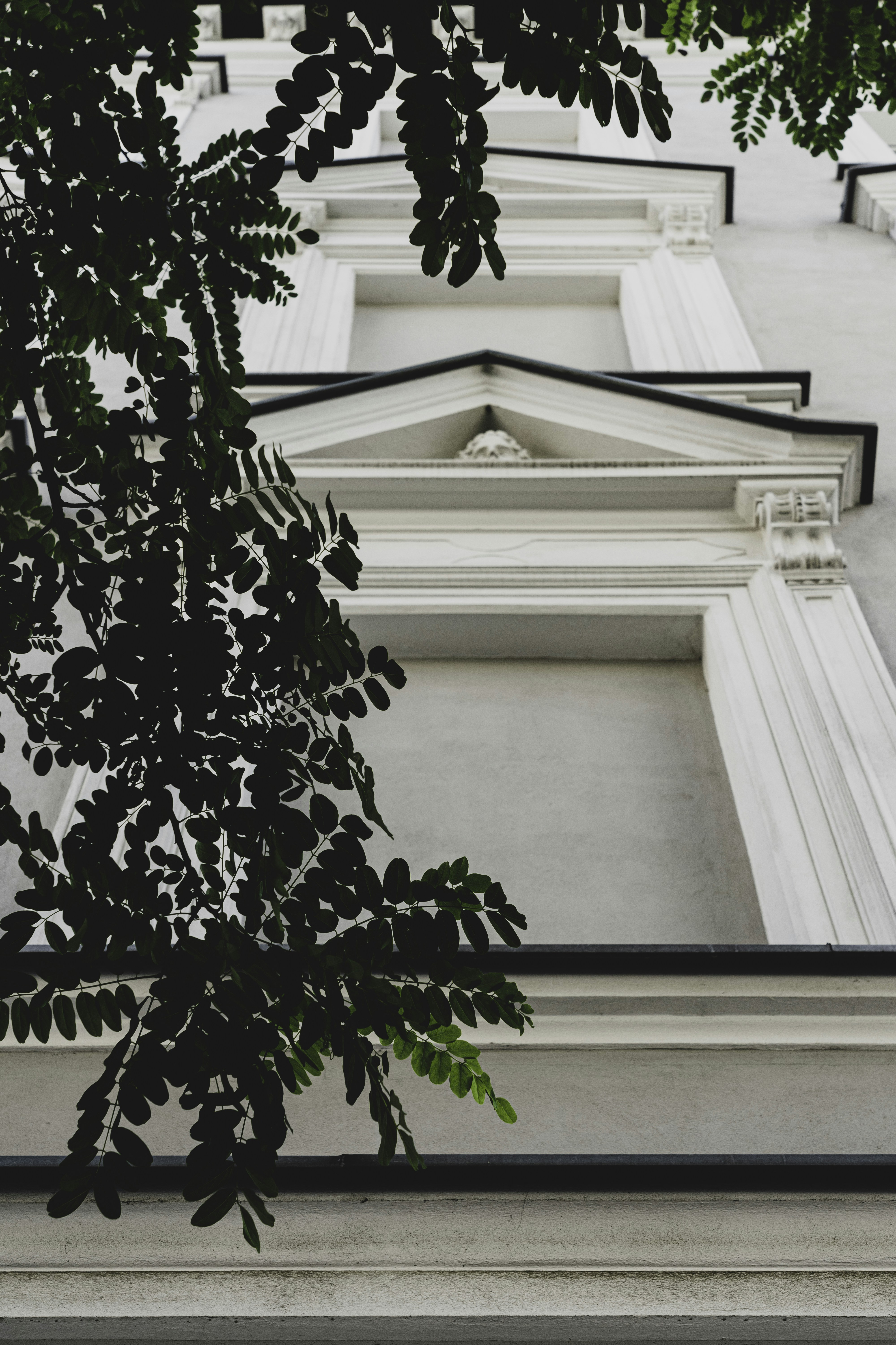 Photo by radek_blackseven