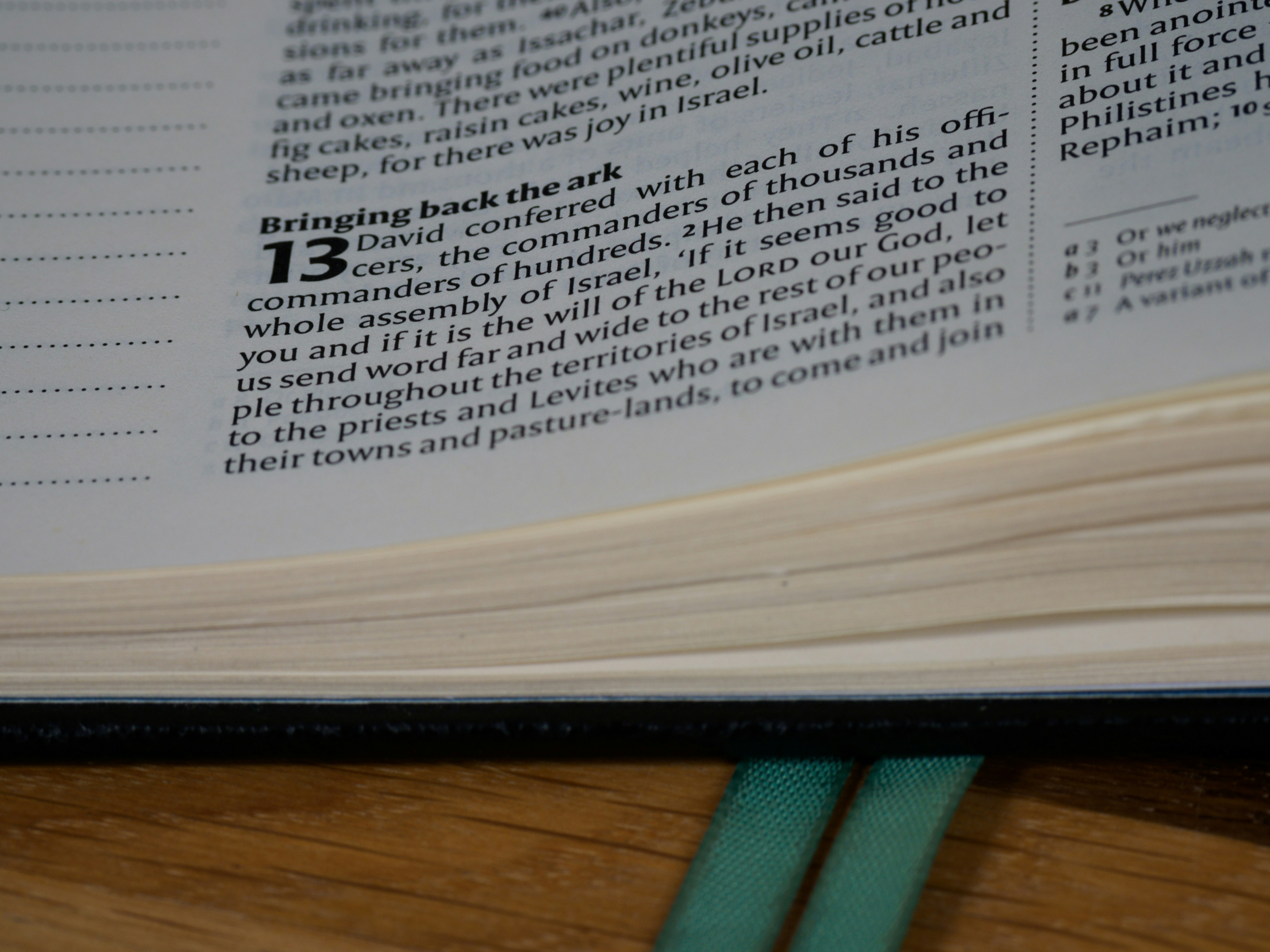 Photo by brett_jordan