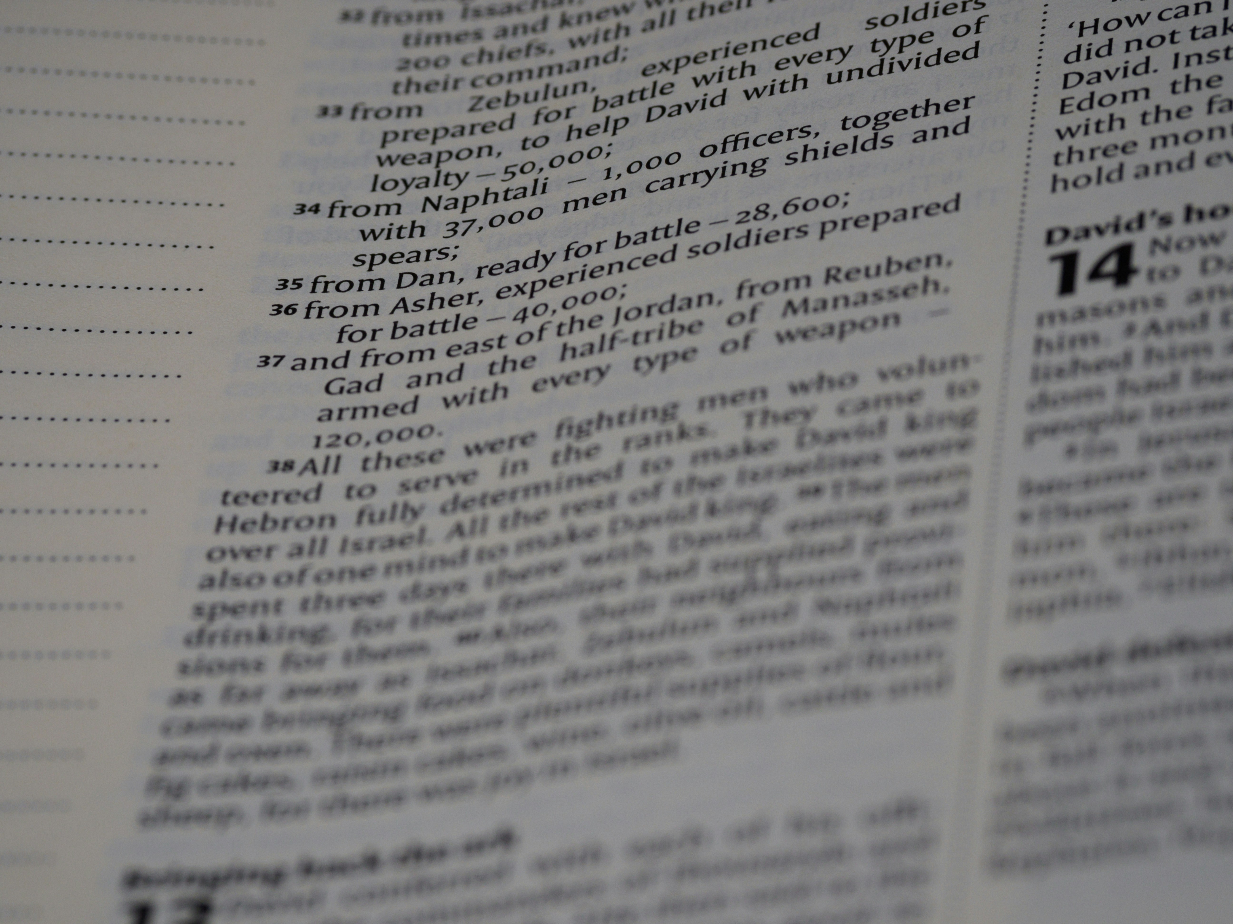 회사분할 후 브랜드 및 상표권 정리 정보