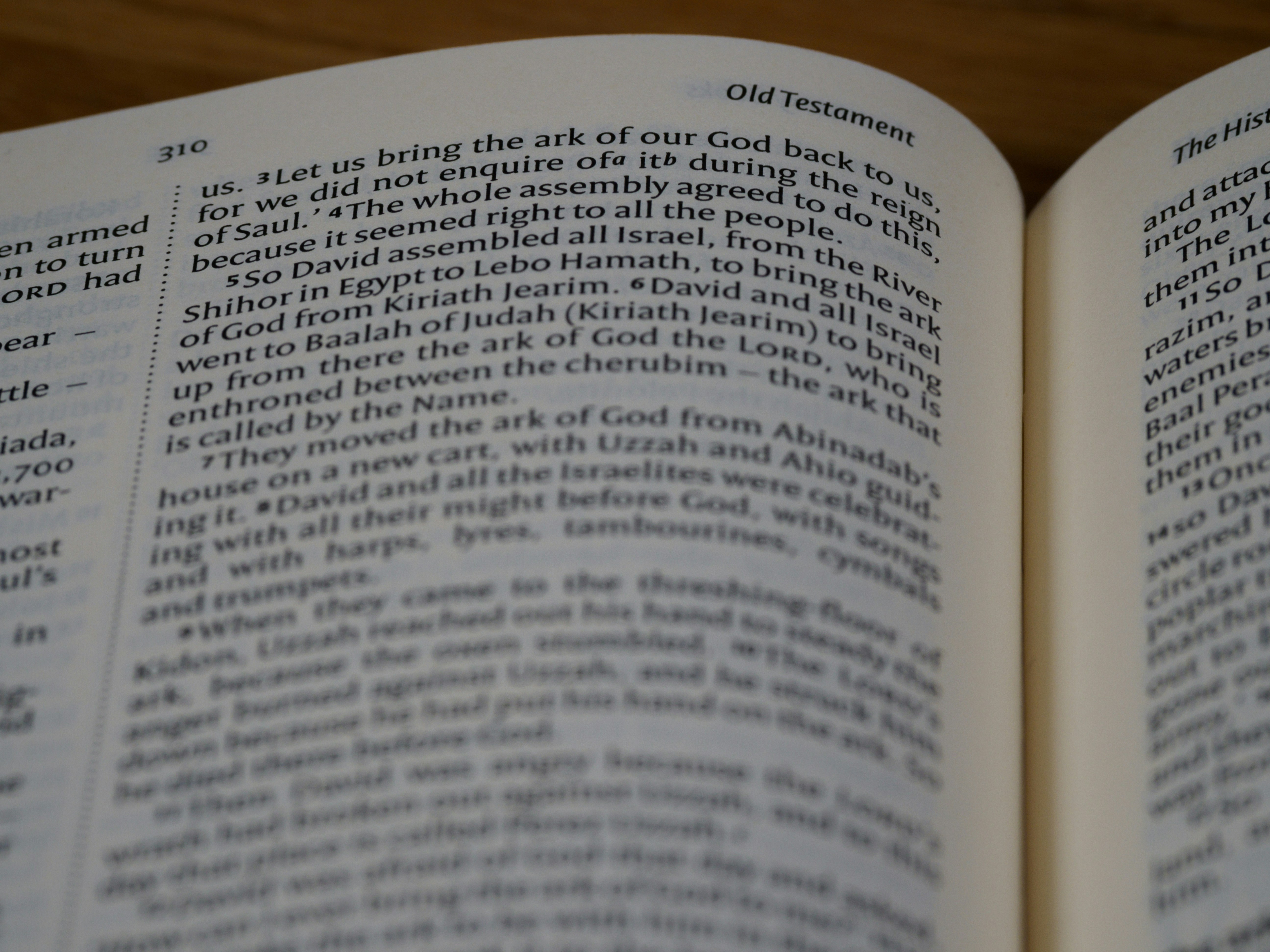 Photo by brett_jordan