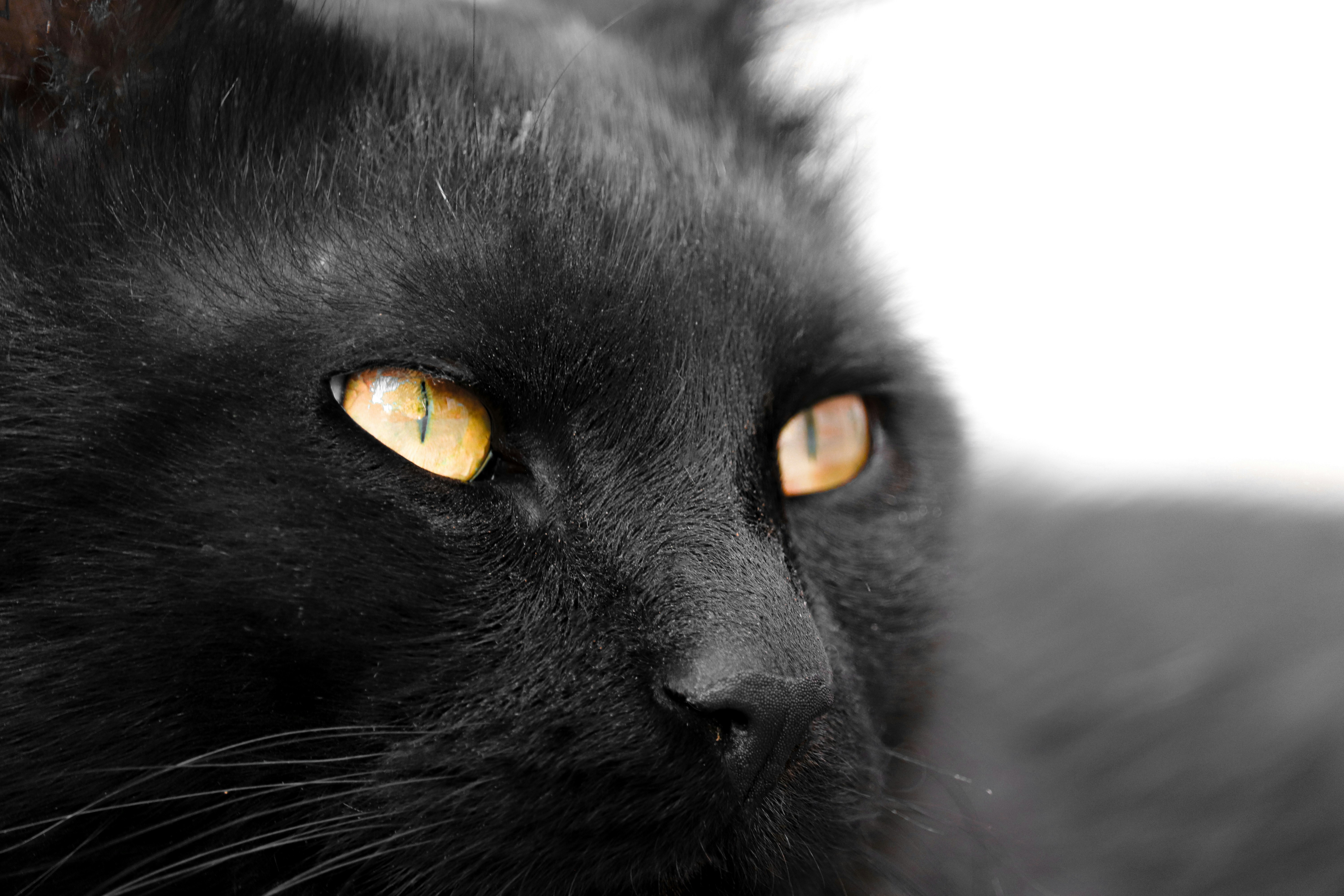 Photo by sinabahar76