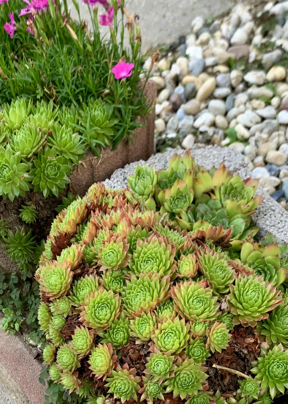 green and brown flower bouquet