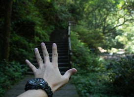 A hand reaching out towards a pathway surrounded by lush green foliage and trees. The pathway appears to be made of stone steps leading upwards, creating a sense of depth. The forest environment around it is dense, with sunlight filtering through the trees.
