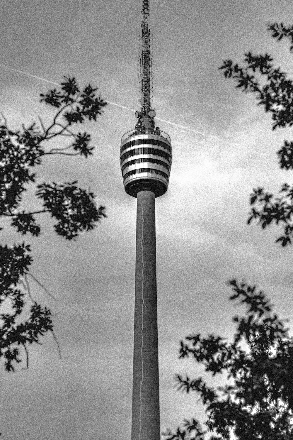 grayscale photo of street light