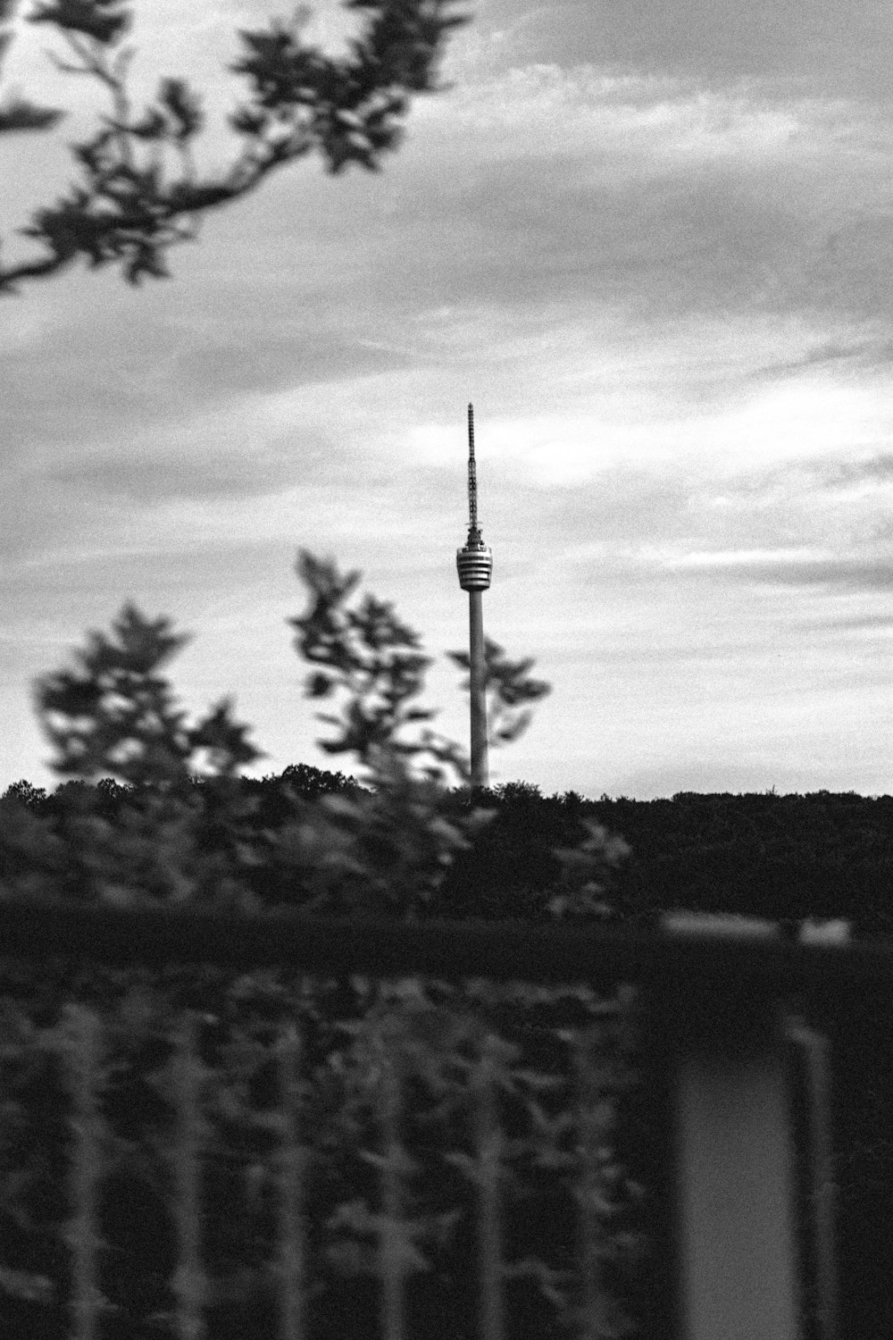 grayscale photo of trees and tower