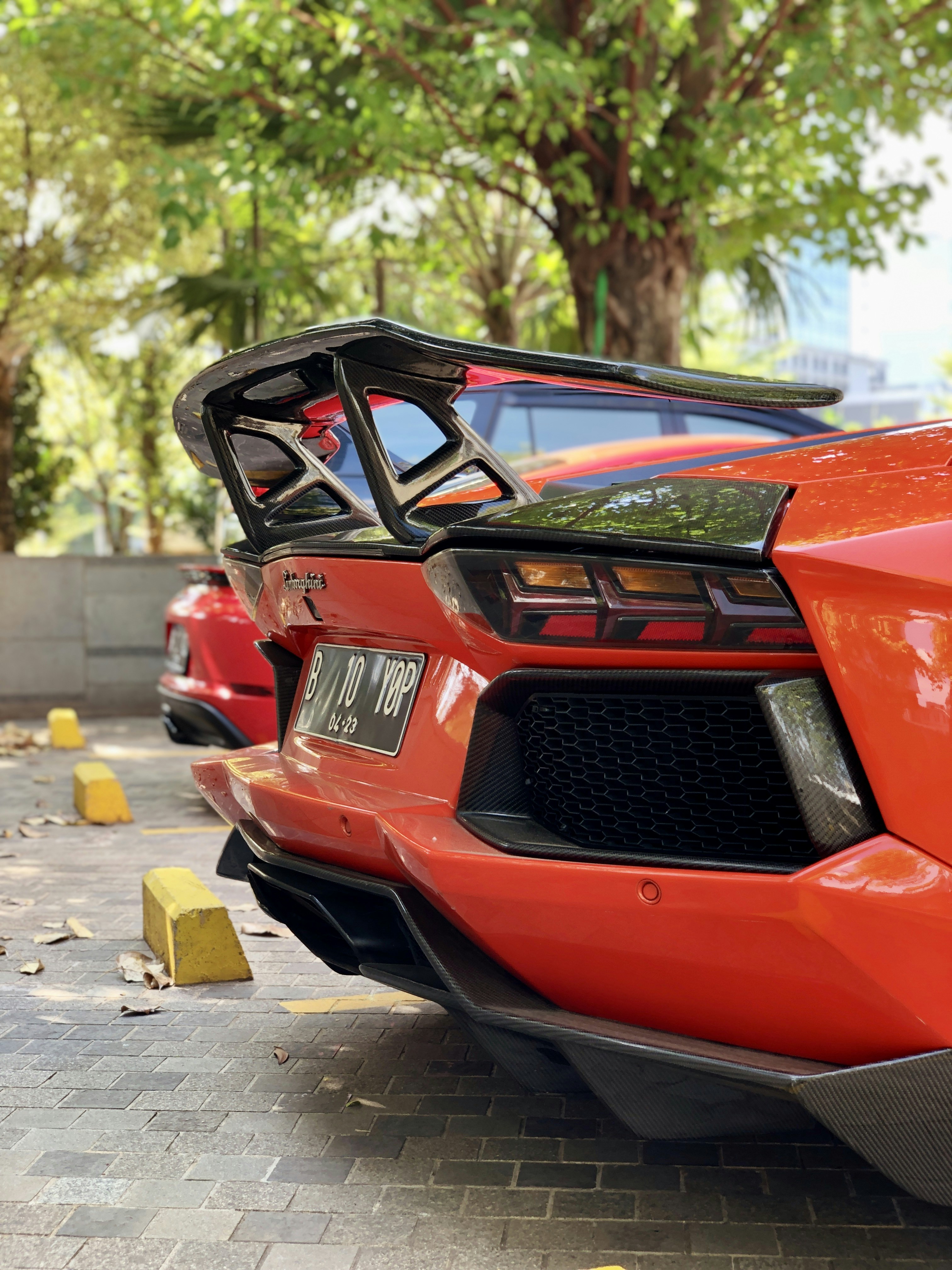 Photo by verdeselvans