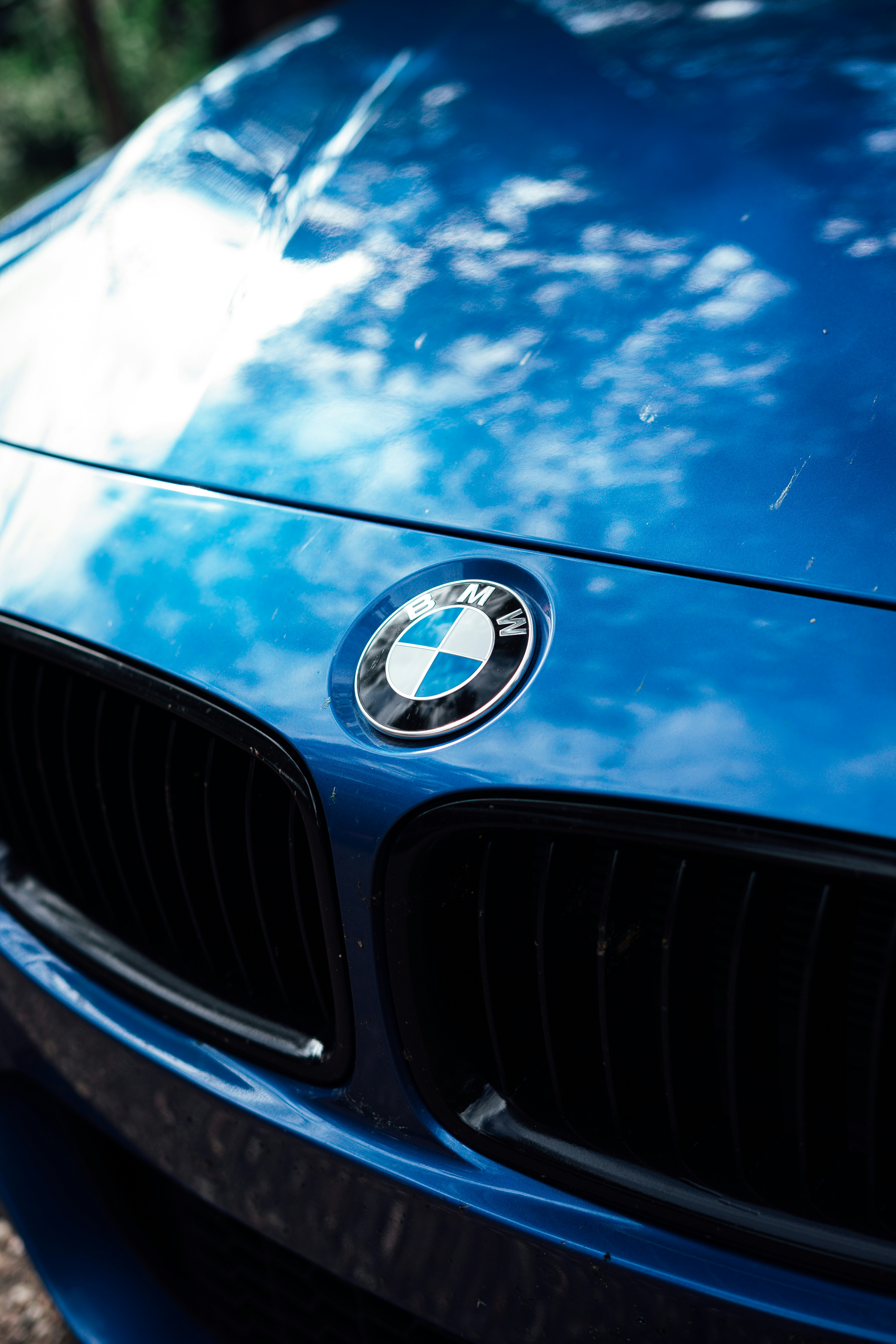 Photo by jeffersonsees