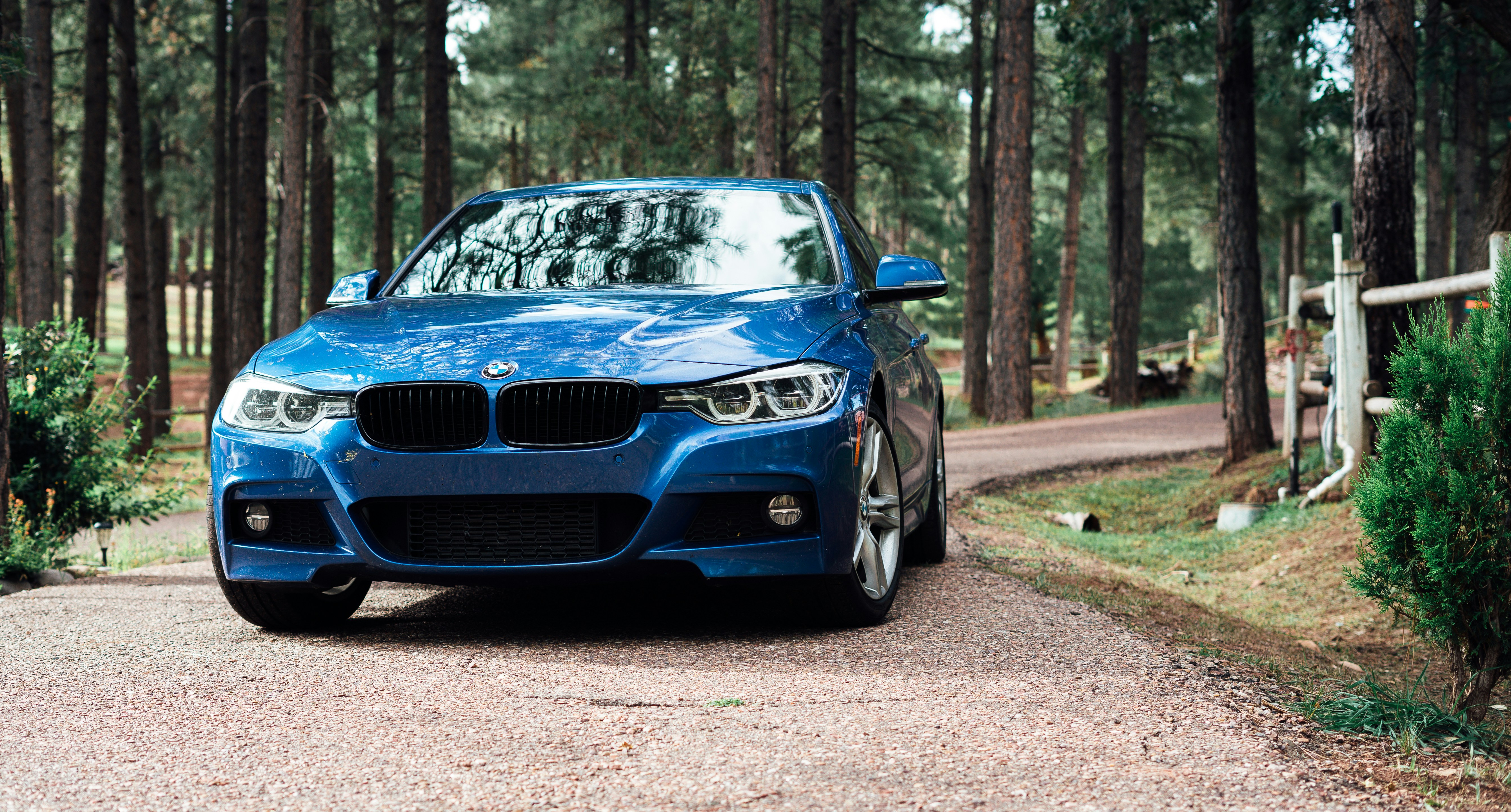 Photo by jeffersonsees