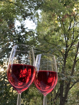 Two glasses of red wine are held up against a background of lush, green foliage. The wine reflects a deep red hue, creating a vivid contrast with the greenery. Sunlight filters through the leaves, adding a warm, natural illumination to the scene.