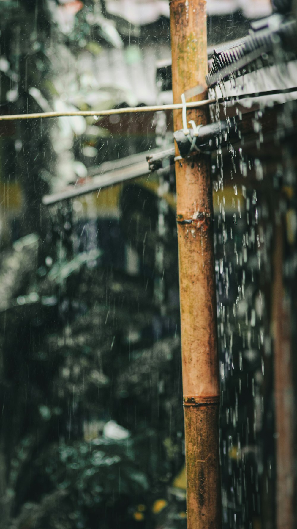 gotas de agua en un poste de madera marrón