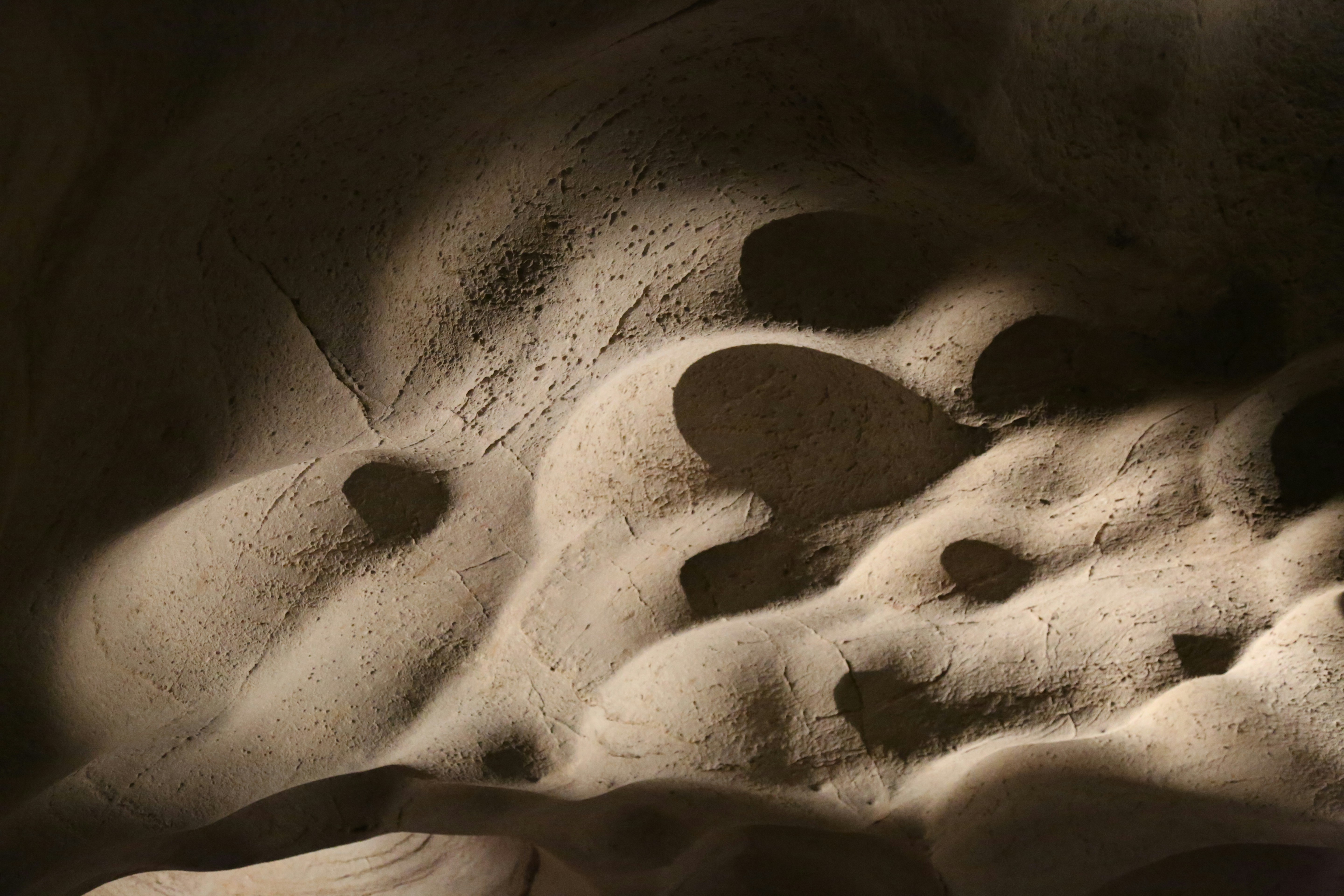 白黒イラストの白い砂の写真 Unsplashで見つけるバーネットの無料写真