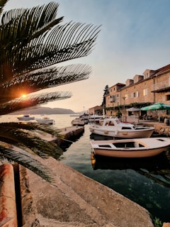 white and brown boat on dock during daytime