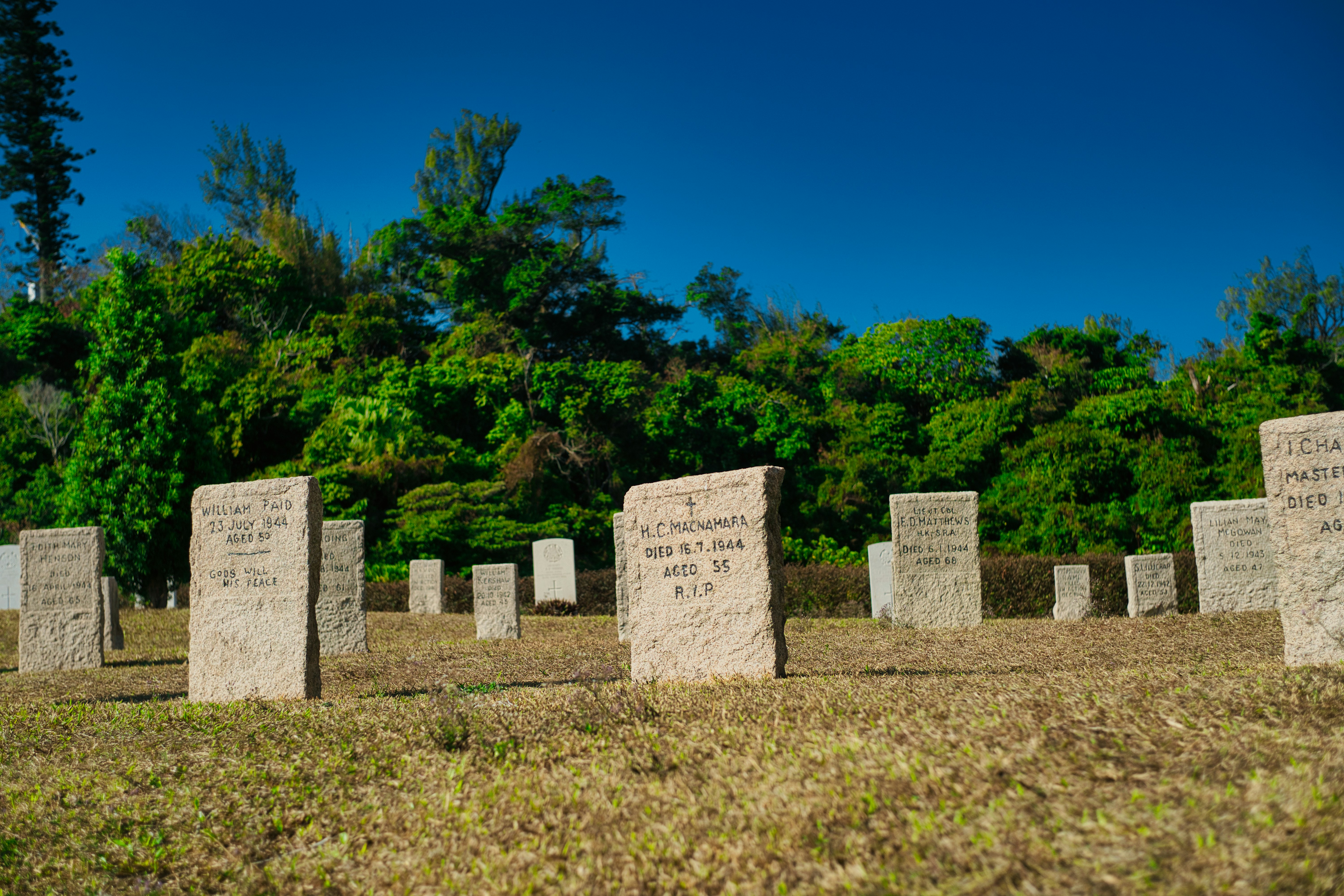 Photo by thomaskinto