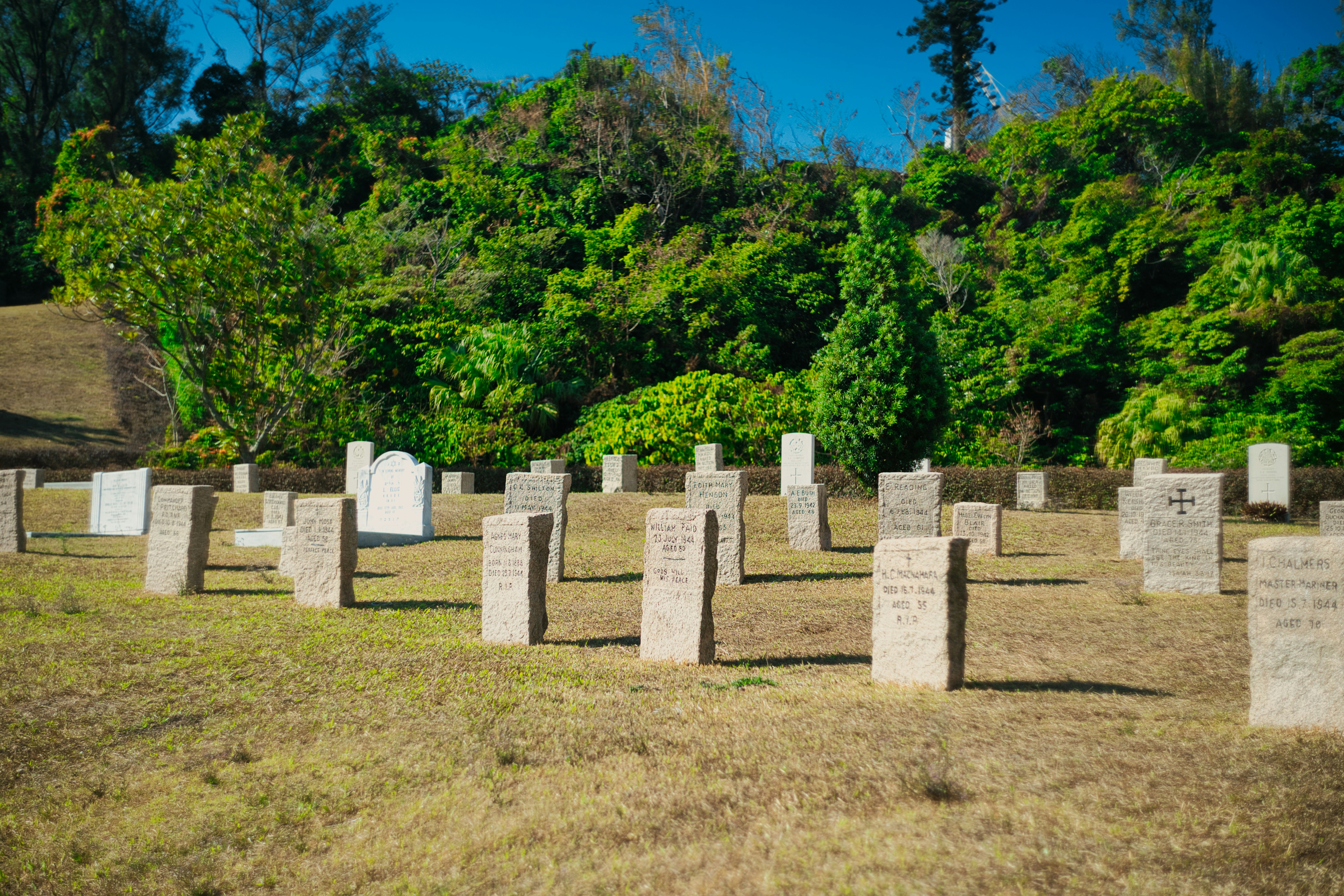 gray concrete blocks on green grass field