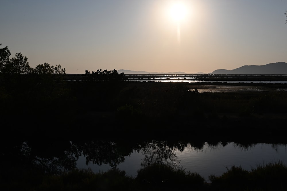 silhouette of trees near body of water during sunset