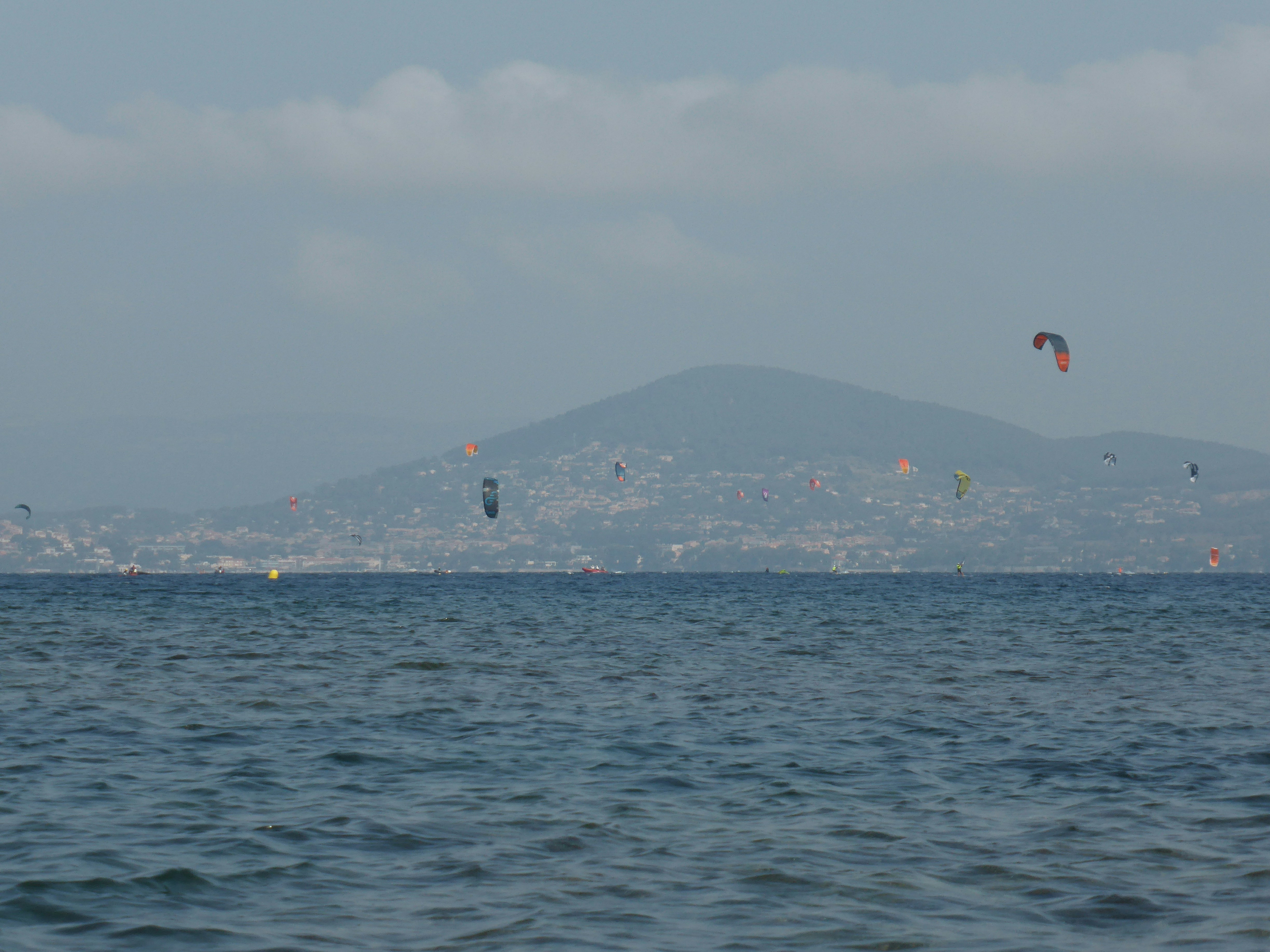 people on beach during daytime
