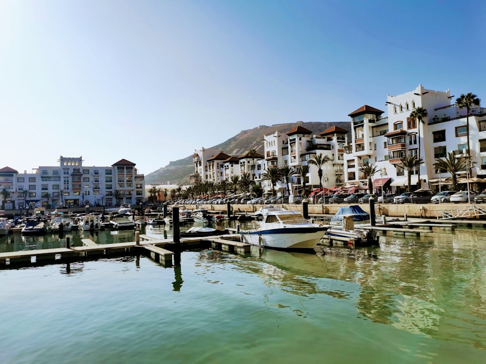 white boat on dock near buildings during daytime