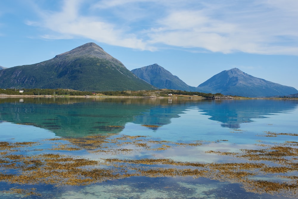 green mountains near body of water during daytime