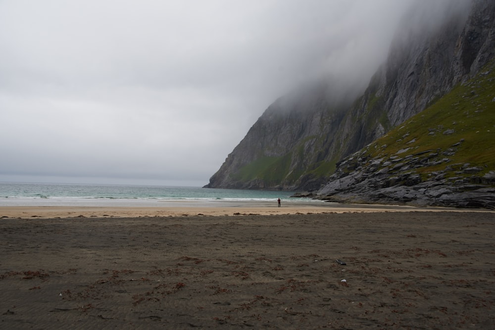 people on beach during daytime