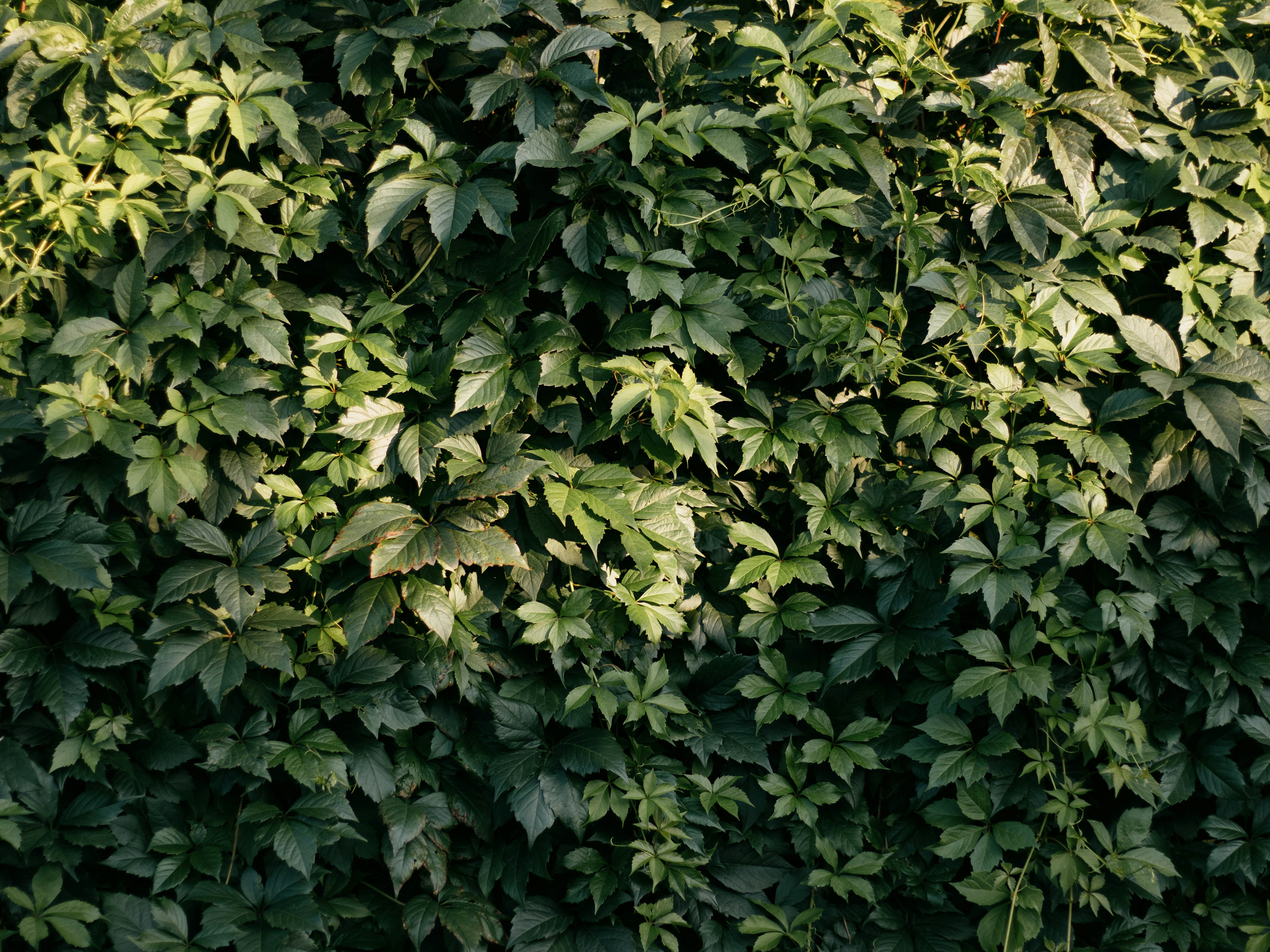 변동성 차익거래 펀드의 수익 구조와 리스크 3